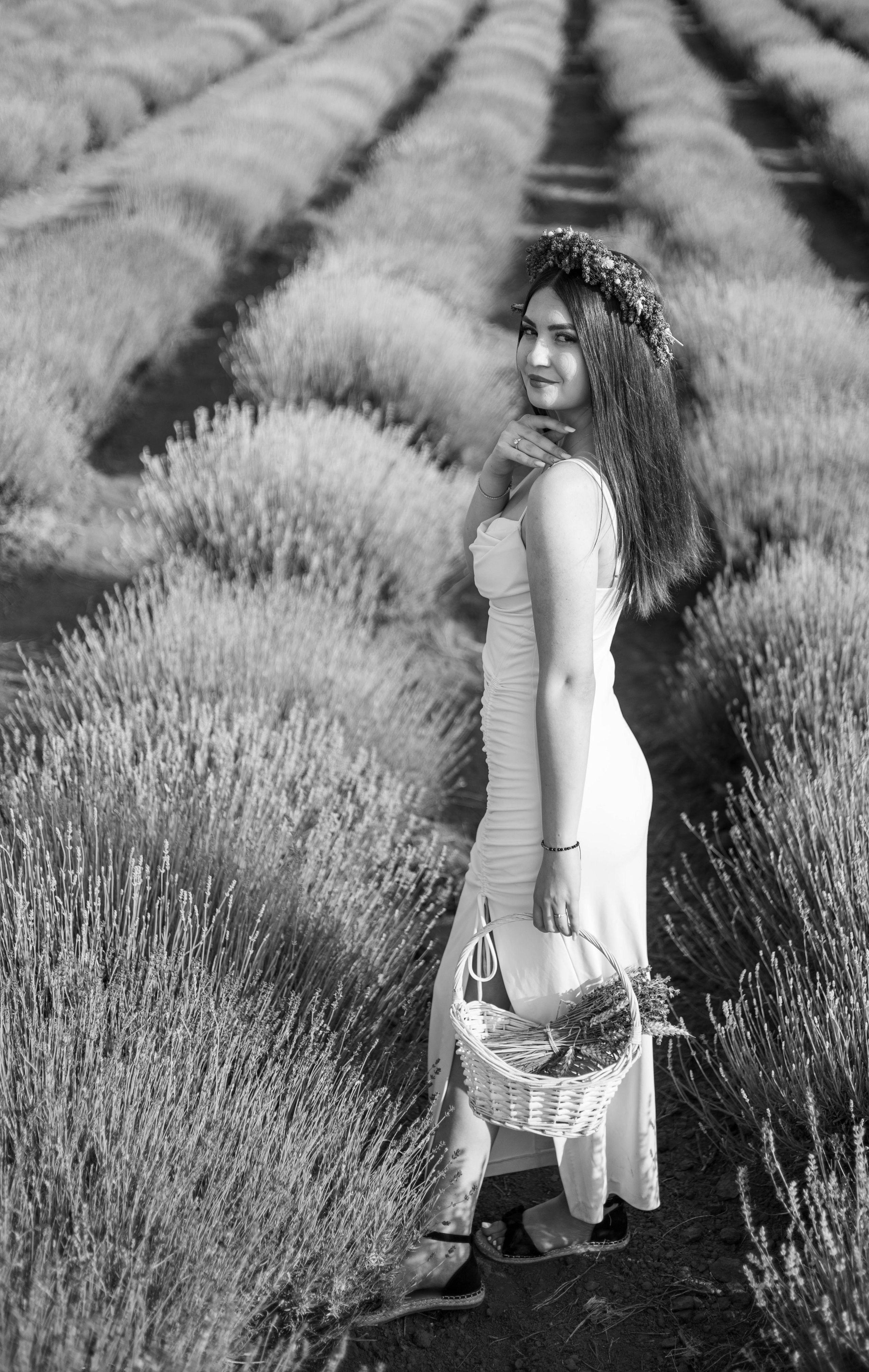 Sedinta foto in lanul de lavanda