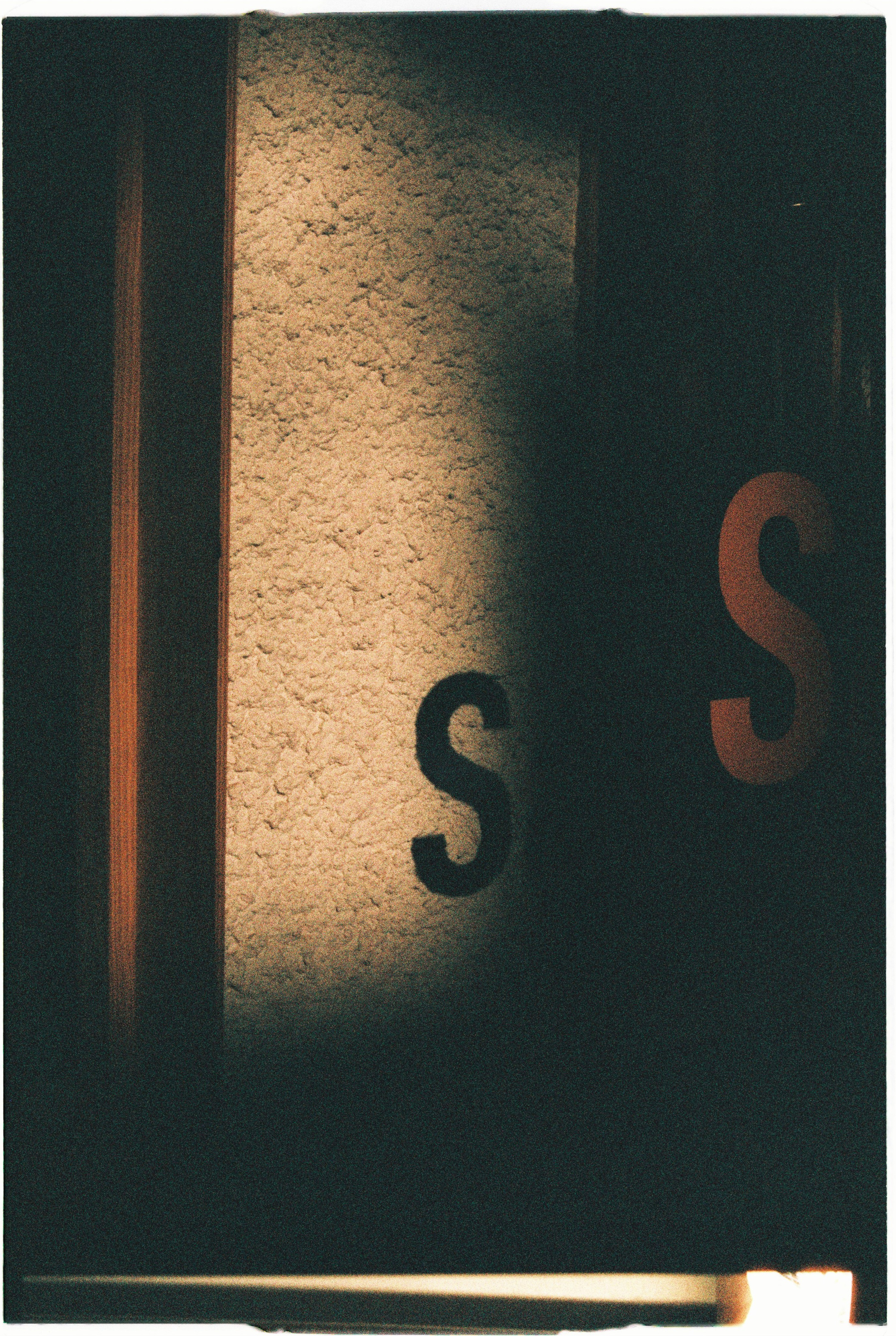 Madeira on film. Portrait photographer in Madeira — Marina Shtukina