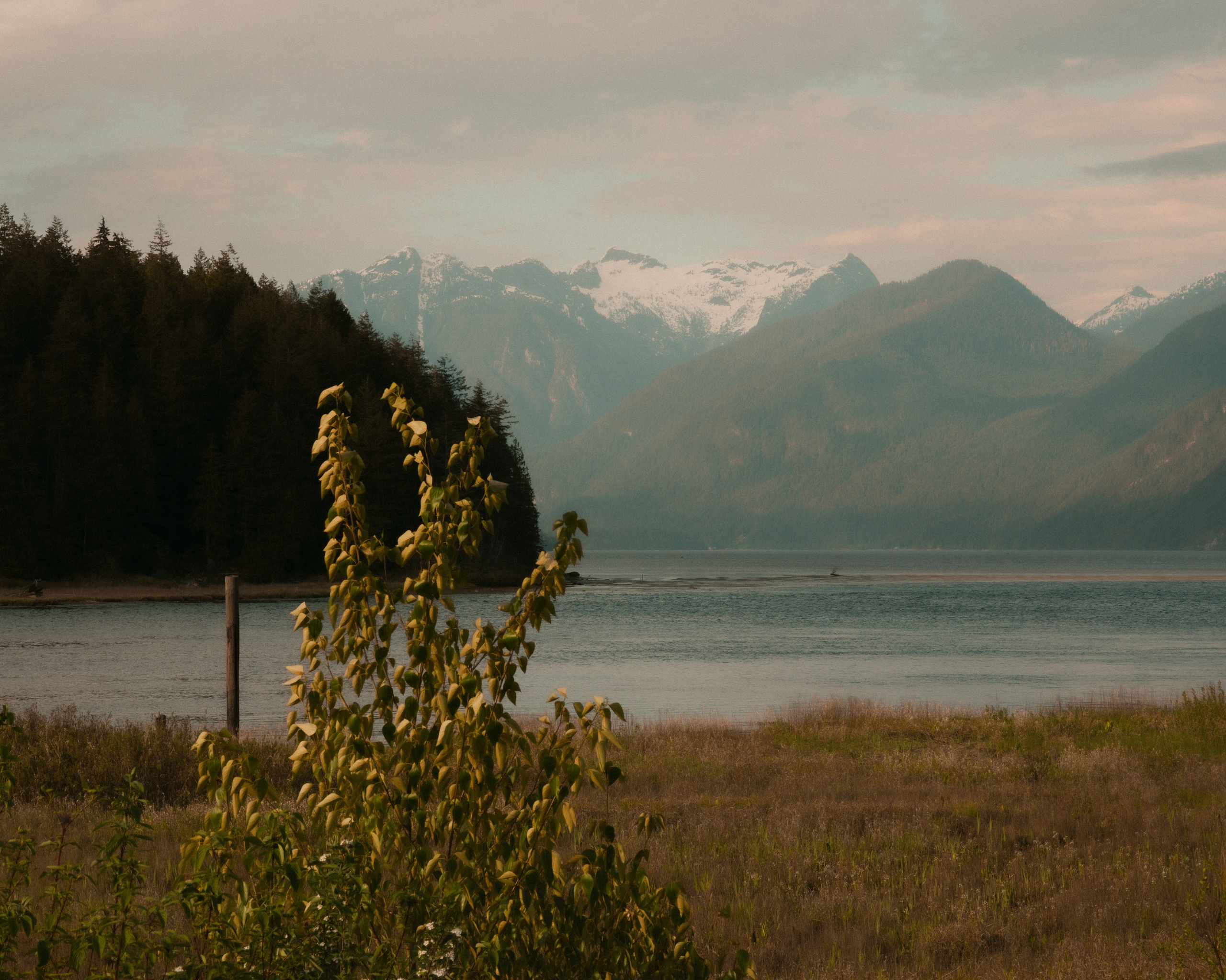 Pitt Lake. Yana Bobrova | Artistic Photography
