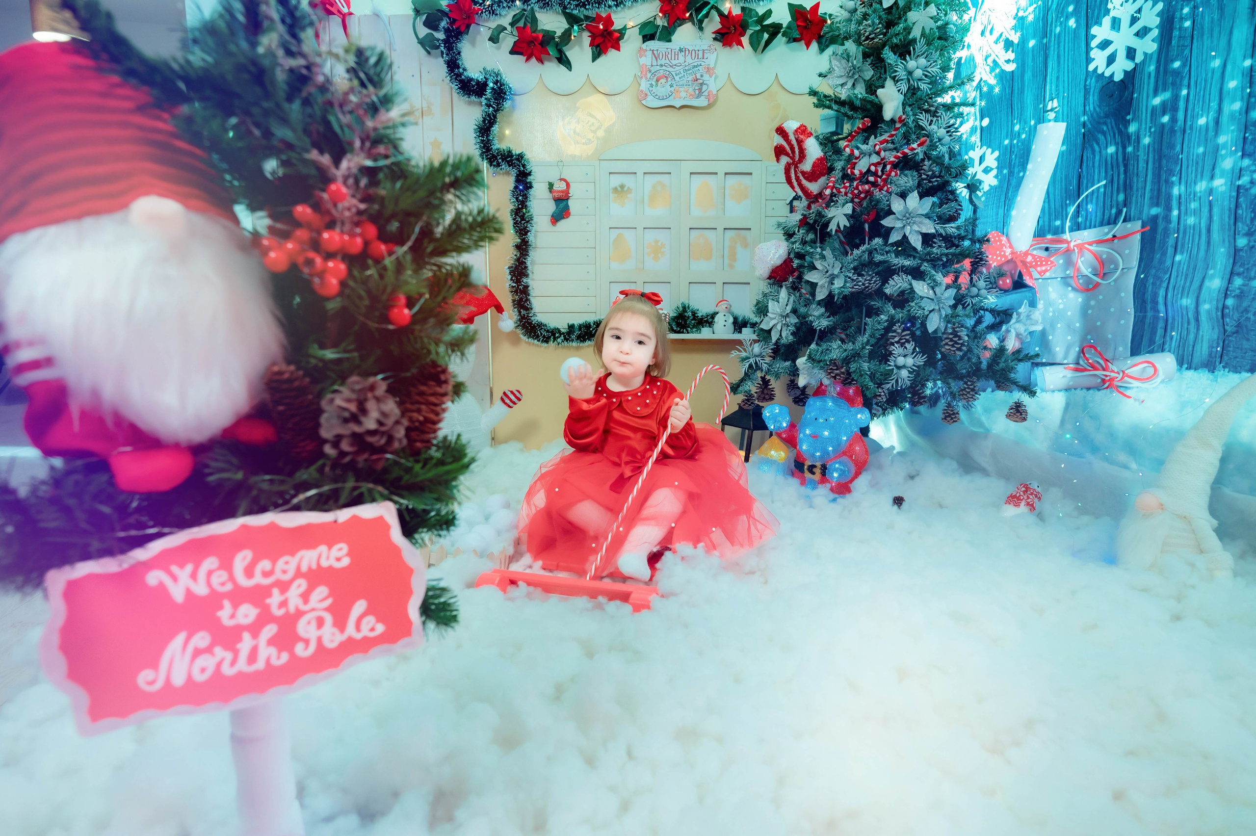 Sedinta Craciun Nicoleta