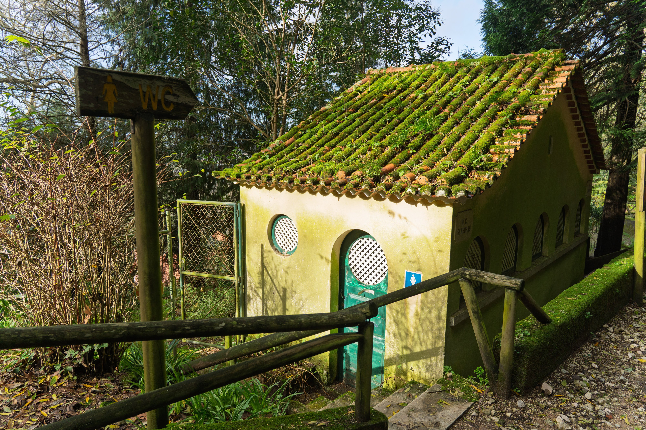 Lisabona 2025. Fotografiideplacere.net