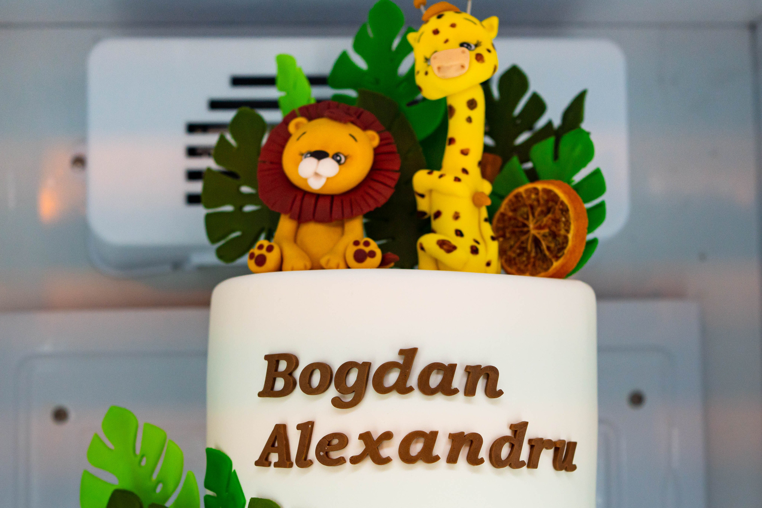 Botez Alexandru Bogdan. Fotografiideplacere.net