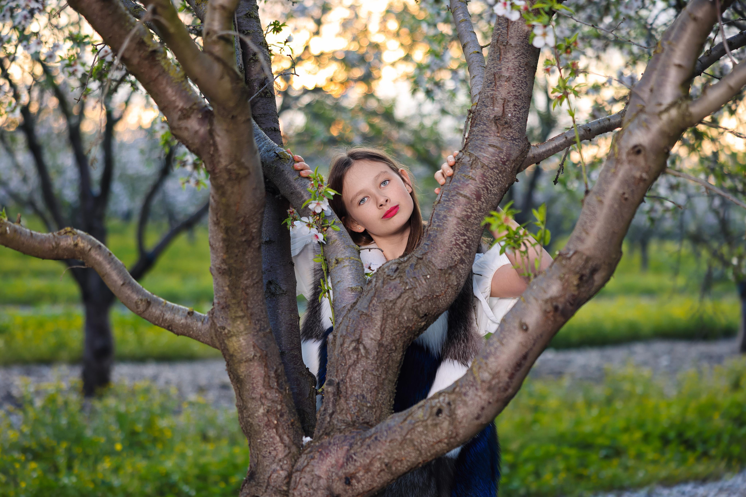 בוק בת מצווה לינדה. Time machine Studio