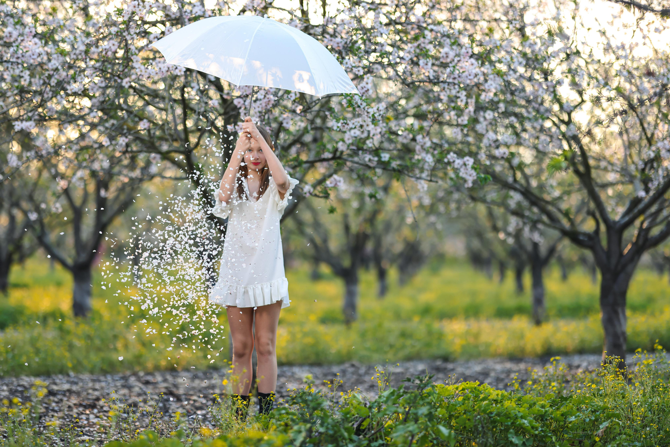 בוק בת מצווה לינדה. Time machine Studio