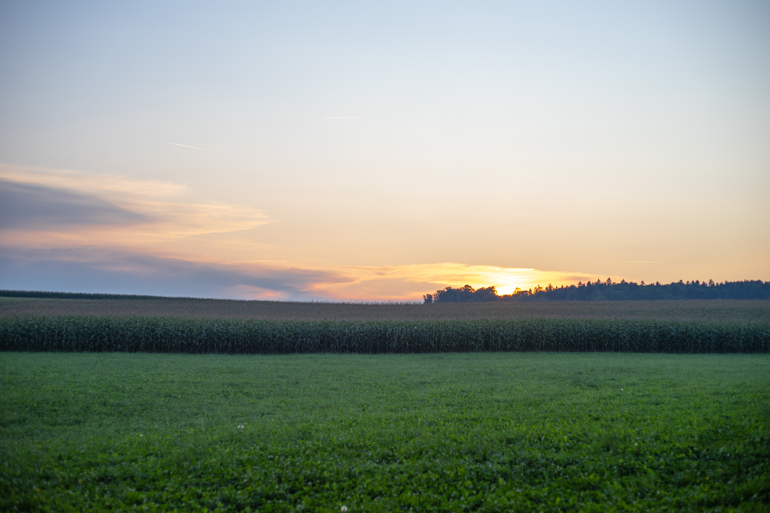 Am Bauernhof. Hallo, ich bin Nadya - Fotografin aus Linz, Oberösterreich