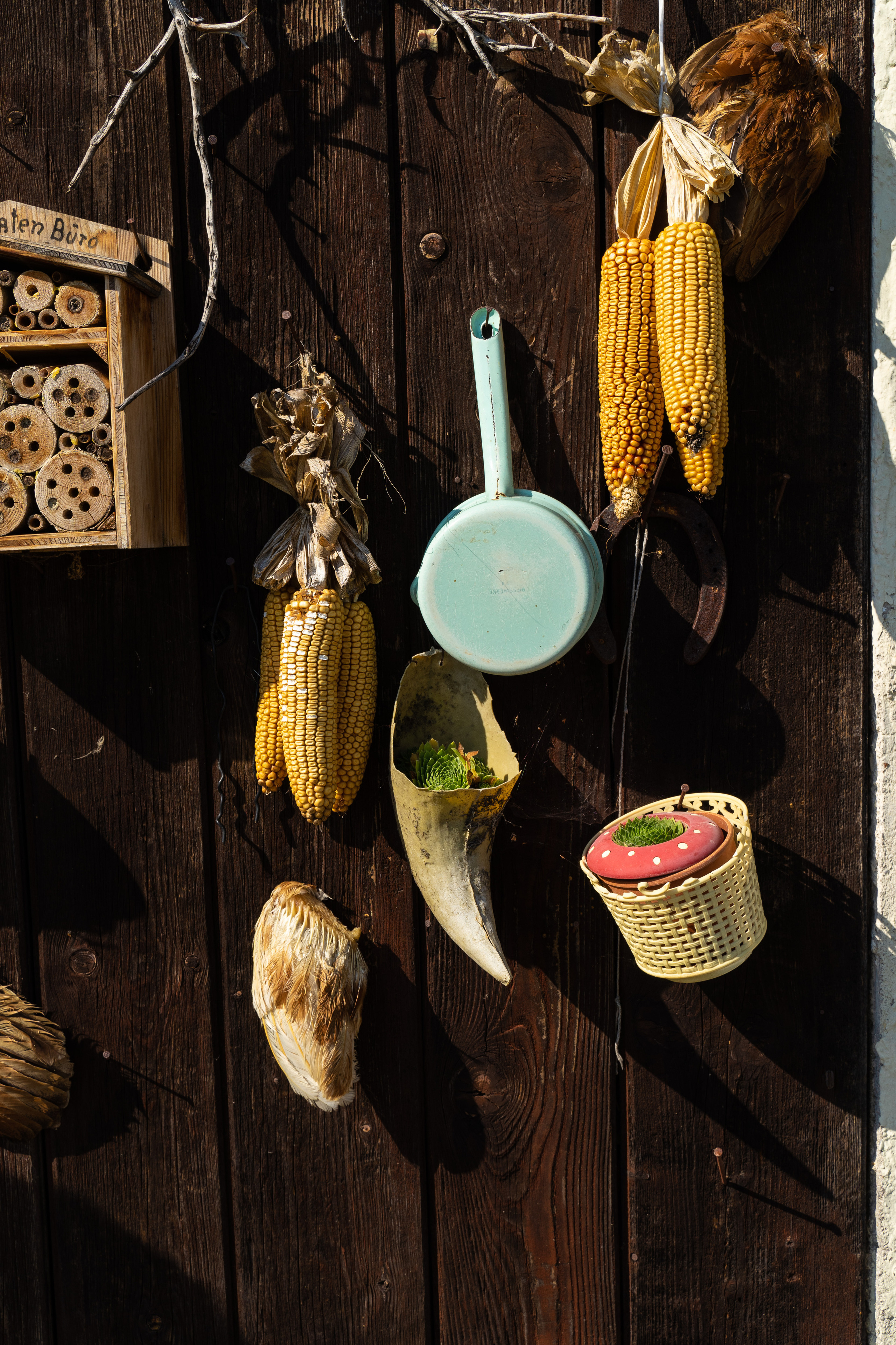 Am Bauernhof. Hallo, ich bin Nadya - Fotografin aus Linz, Oberösterreich