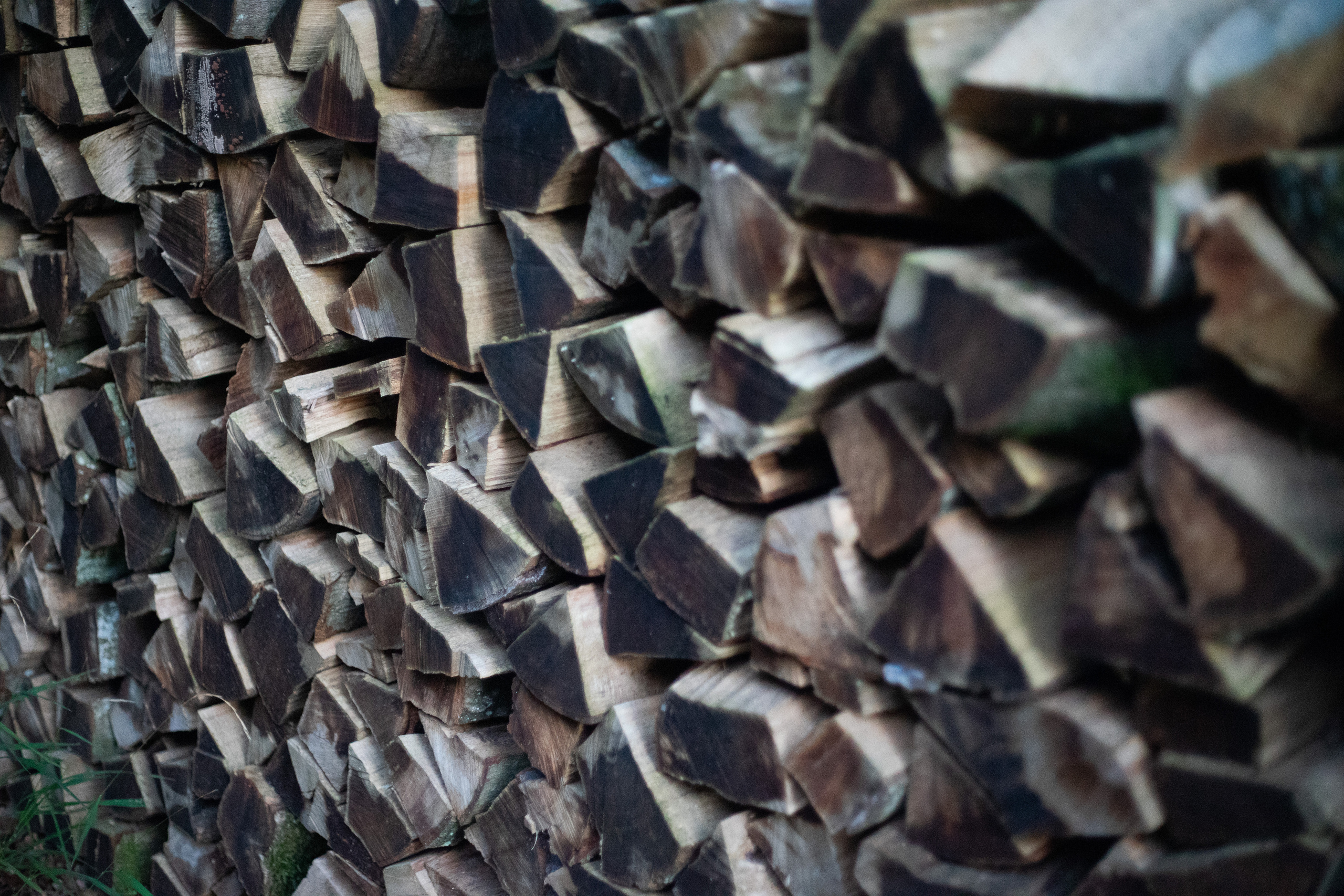 Am Bauernhof. Hallo, ich bin Nadya - Fotografin aus Linz, Oberösterreich