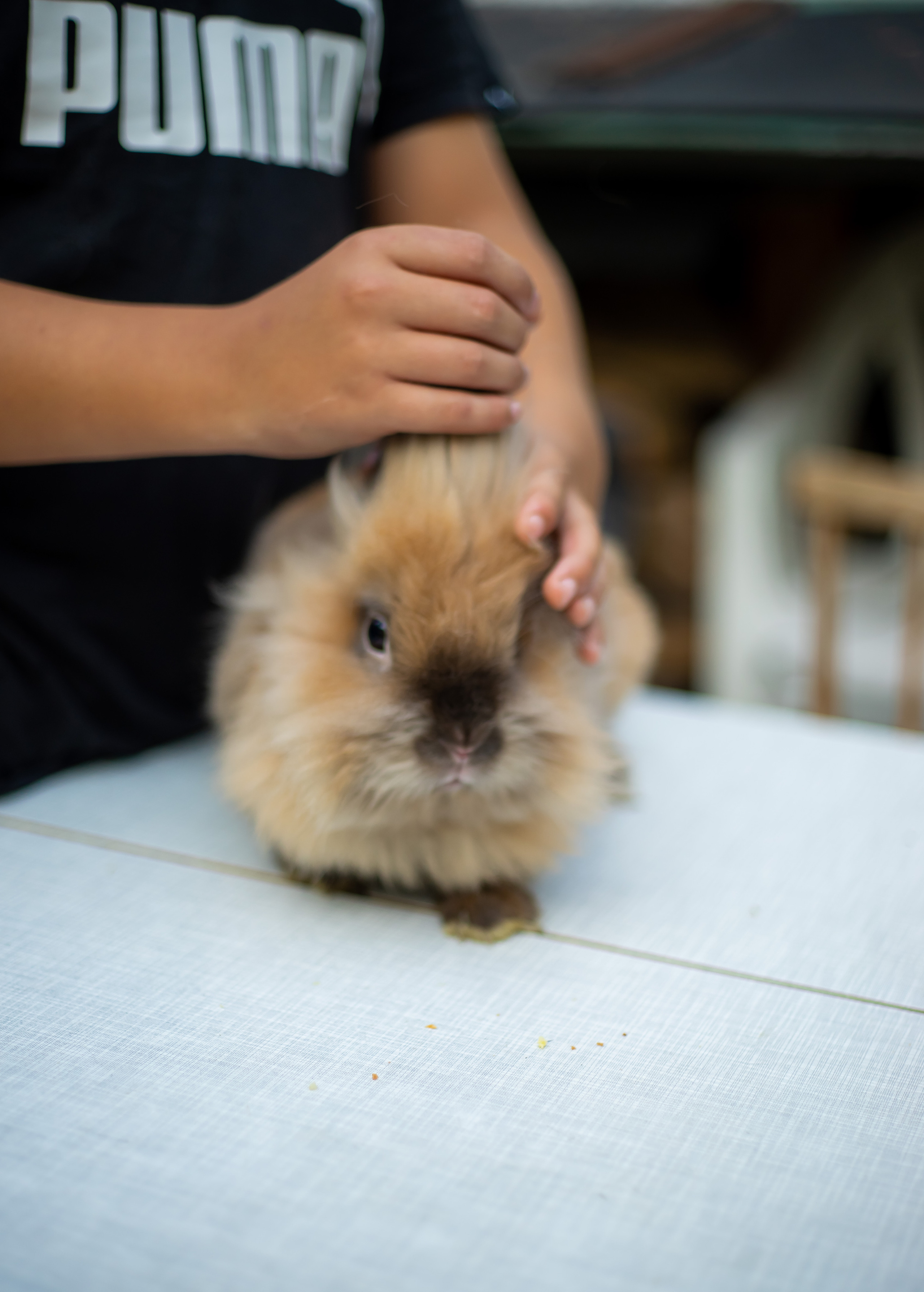 Am Bauernhof. Hallo, ich bin Nadya - Fotografin aus Linz, Oberösterreich