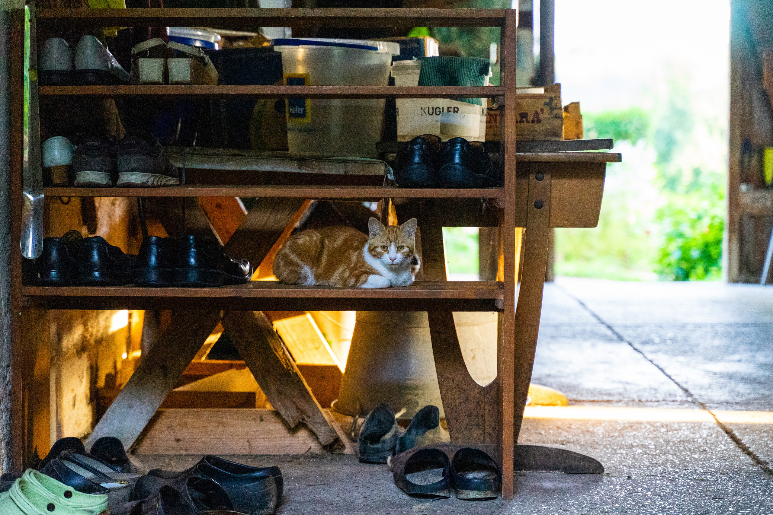 Am Bauernhof. Hallo, ich bin Nadya - Fotografin aus Linz, Oberösterreich