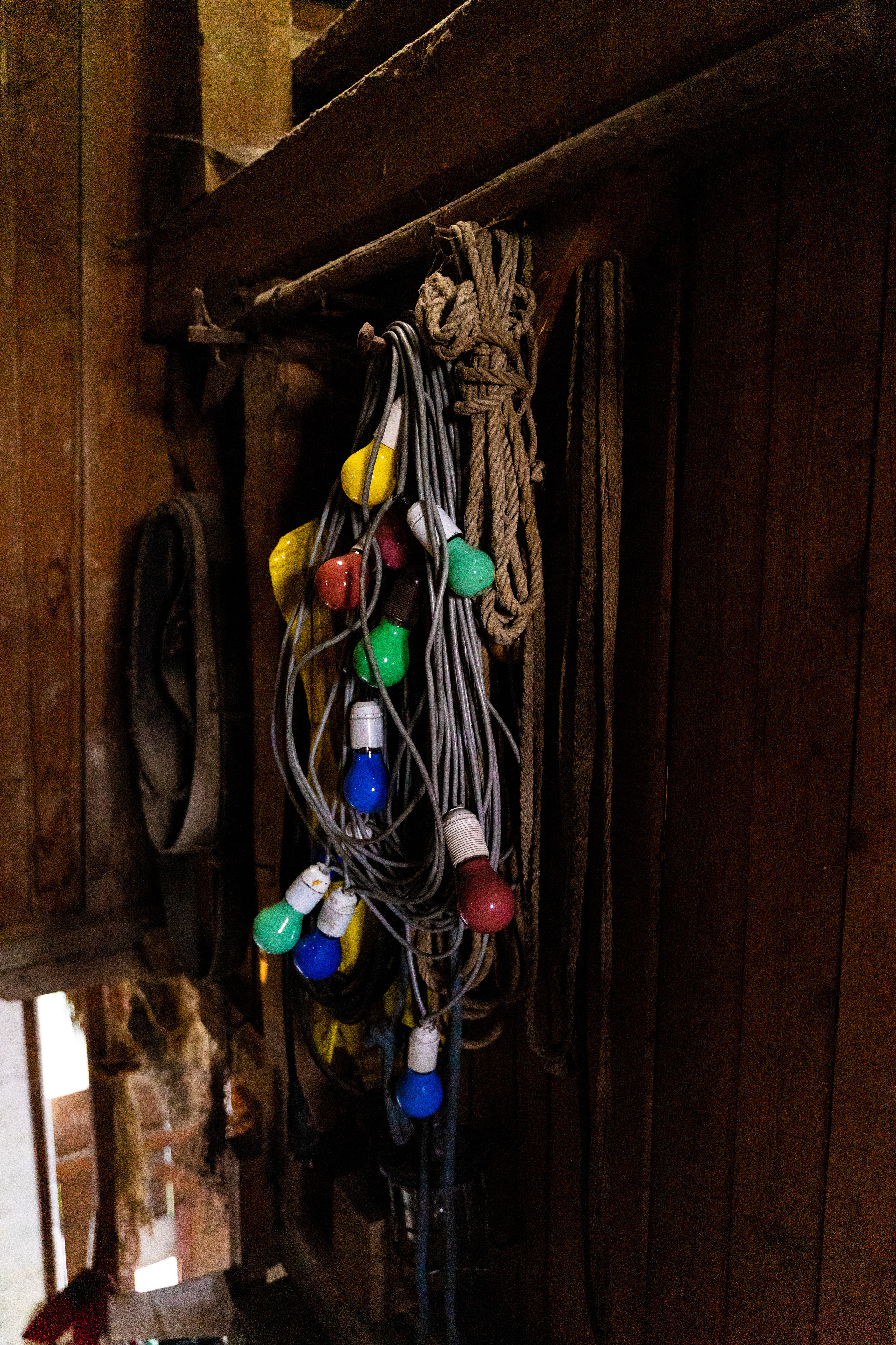 Am Bauernhof. Hallo, ich bin Nadya - Fotografin aus Linz, Oberösterreich