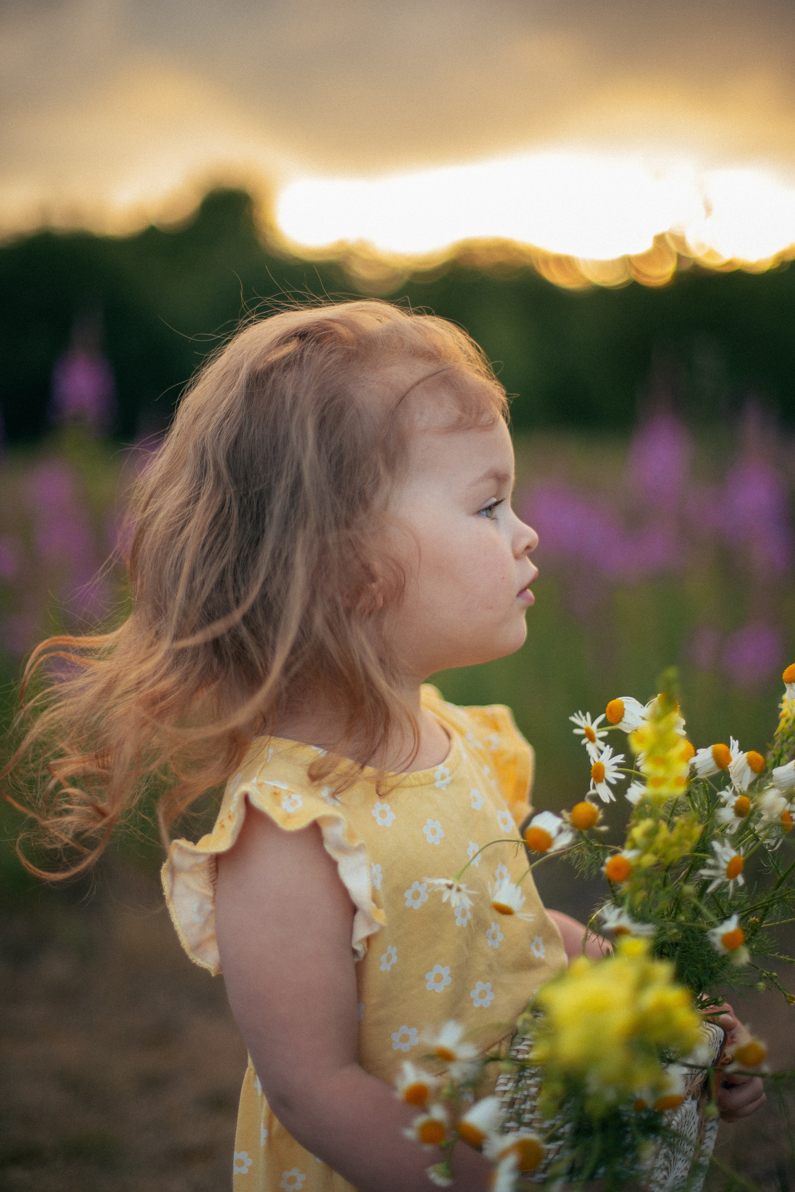 Ева. Главная