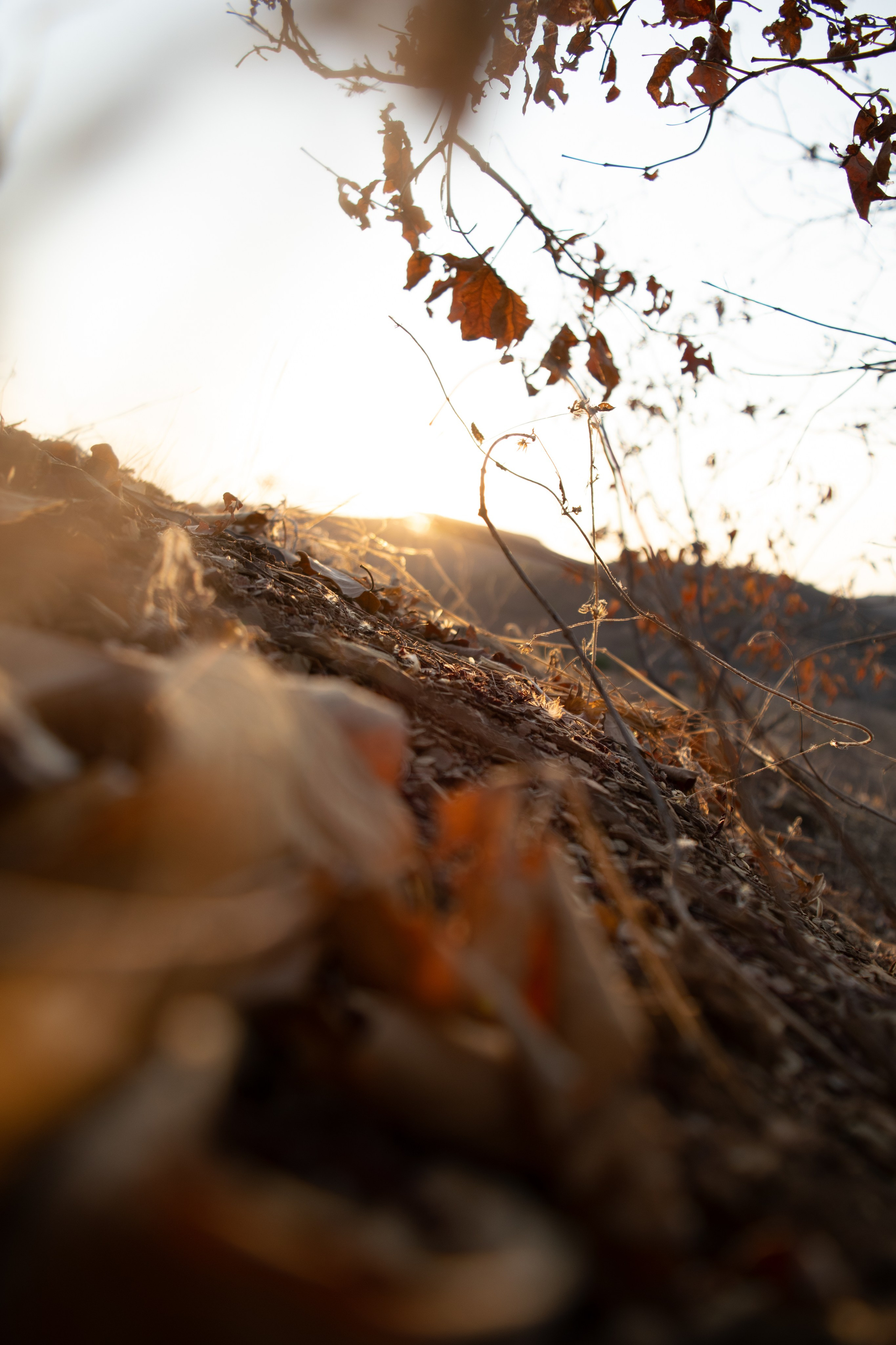 Aleatórias. Ryan Farias — Fotógrafo