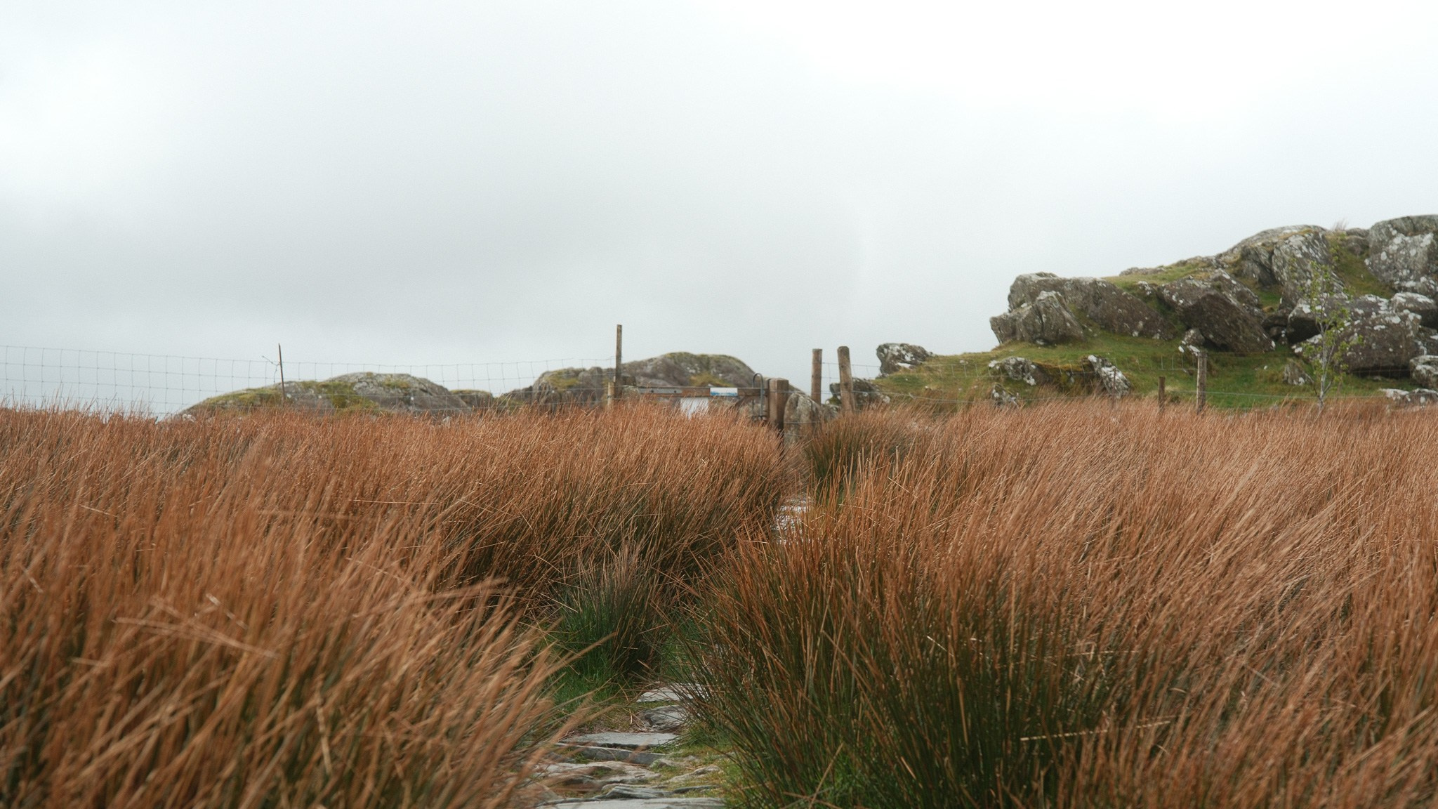 Wales Road Trip 2026. Callum Ecobichon