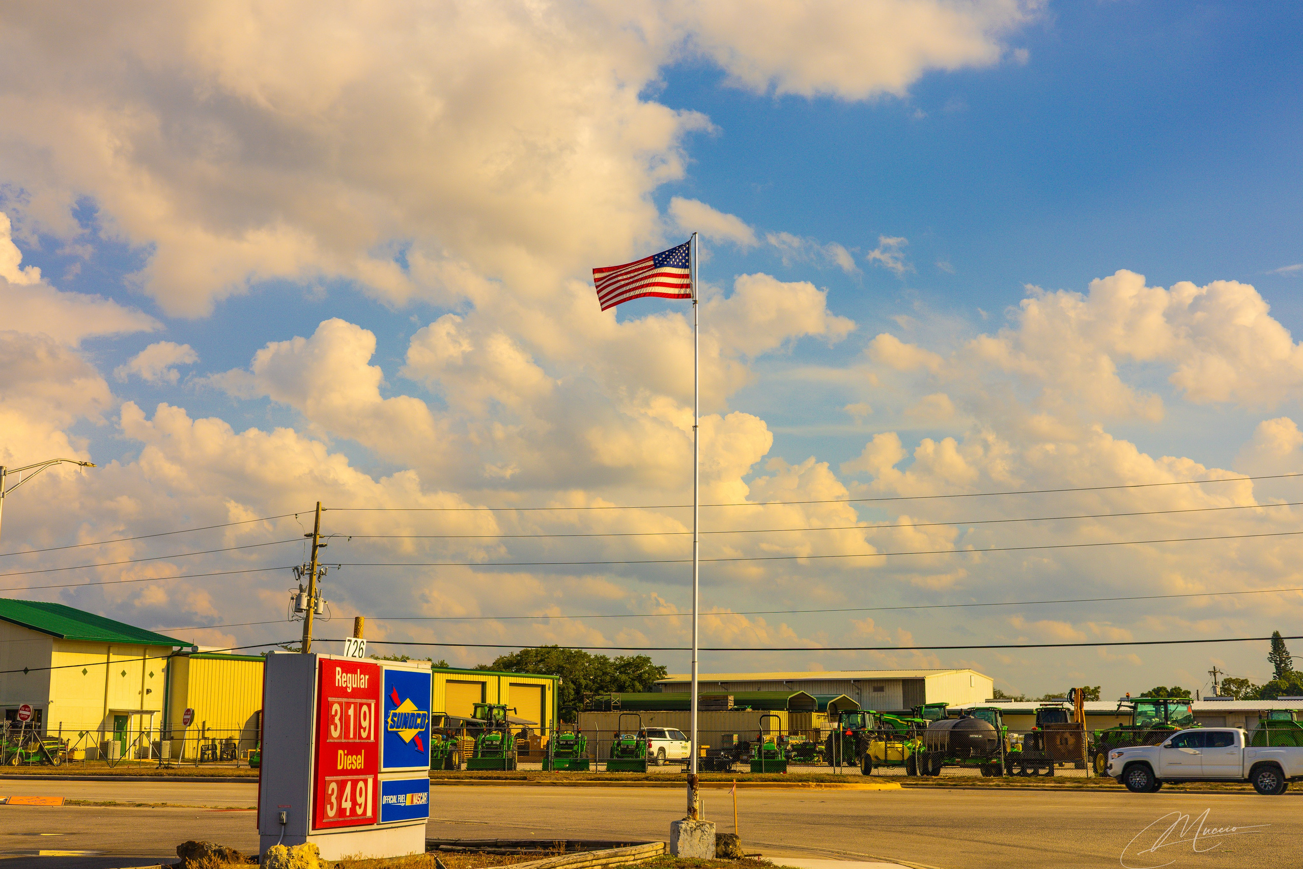 Americana — Immokolee. Out and About 239