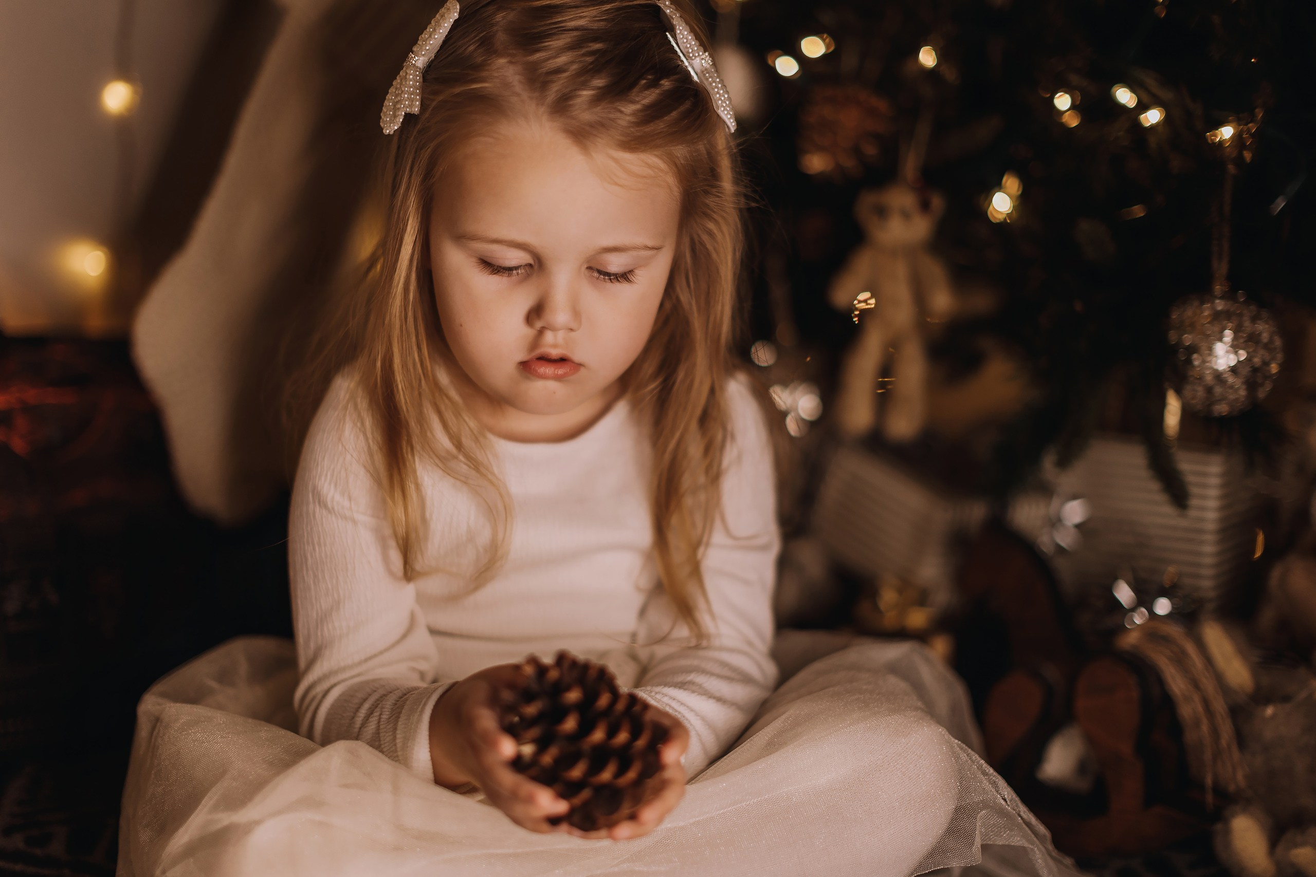 25.11.2023 Christmas Photoshoot. Wedding family event photographer in Chicago Nick Yushevich