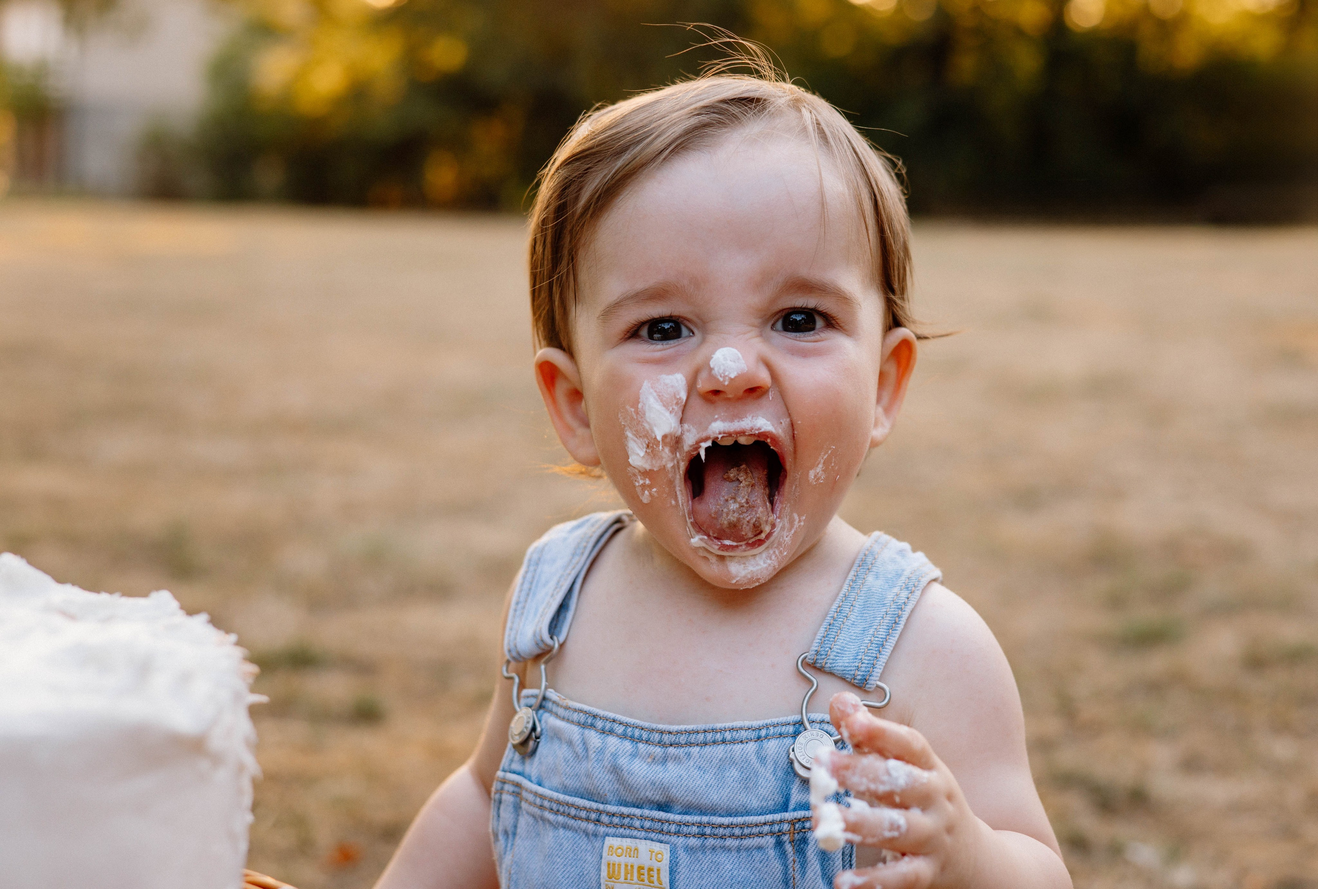 Smash Cake Photography. Family and Wedding Photographer