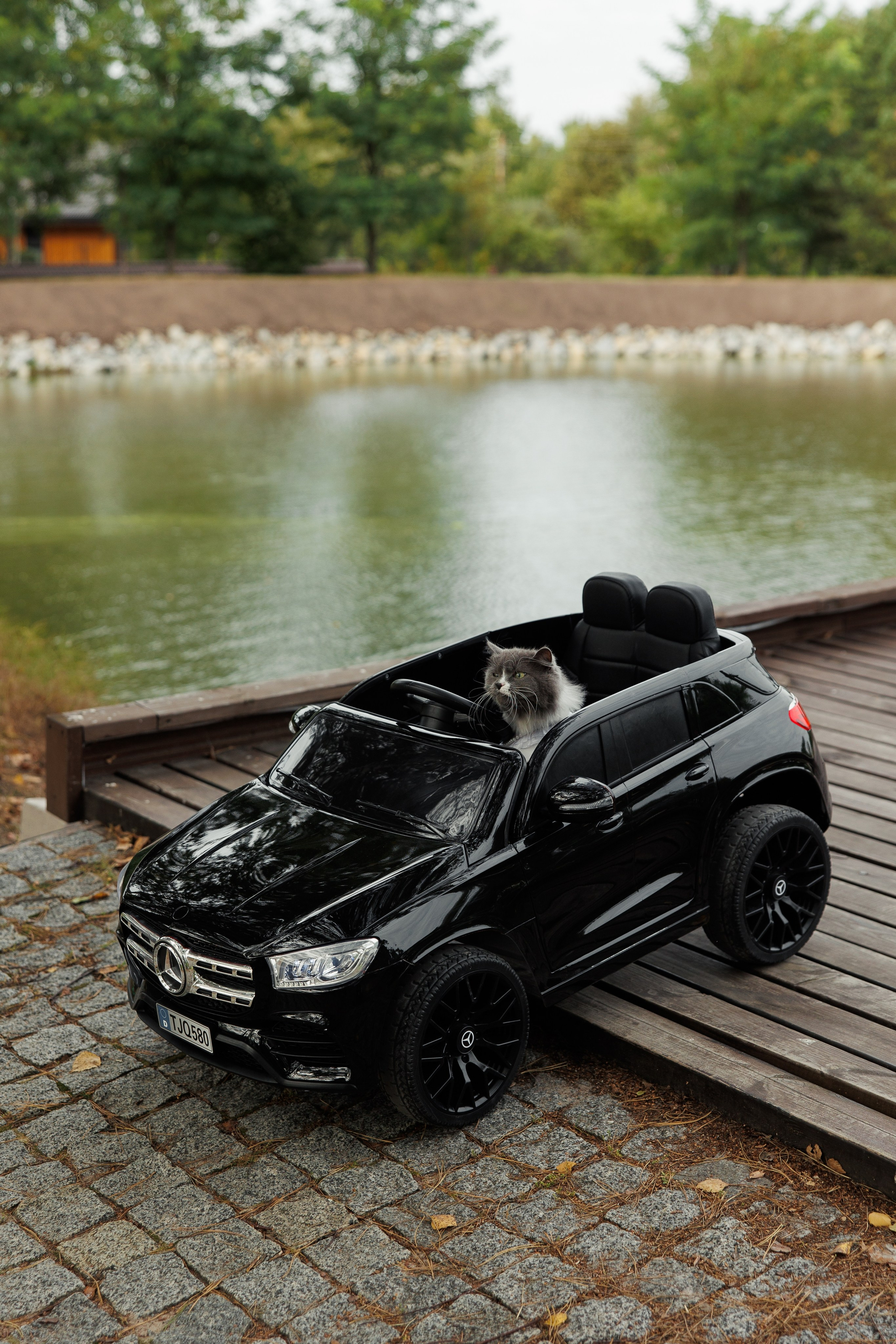 Inna Oleksandr. Ірина Терещук