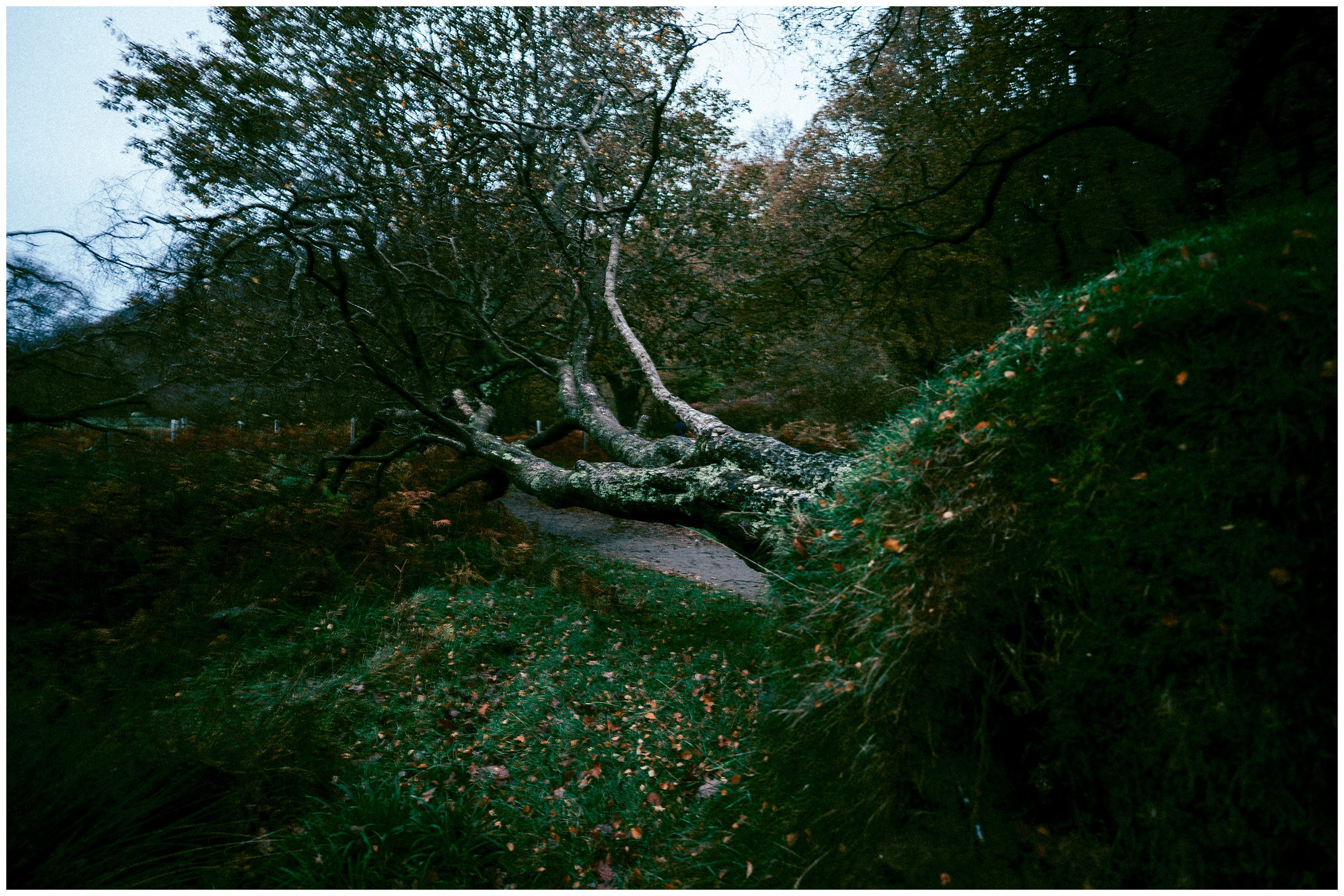 IRELAND. Inna Mendelson — Photographer