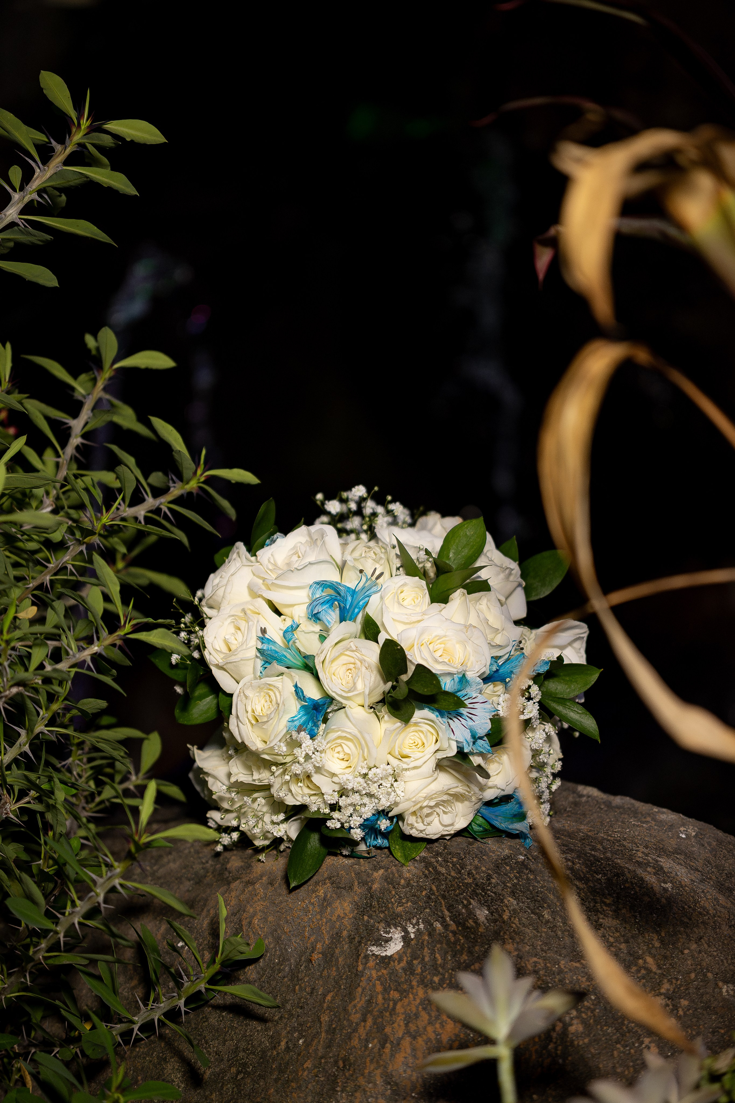 Casamento Ester Santos & Lucas