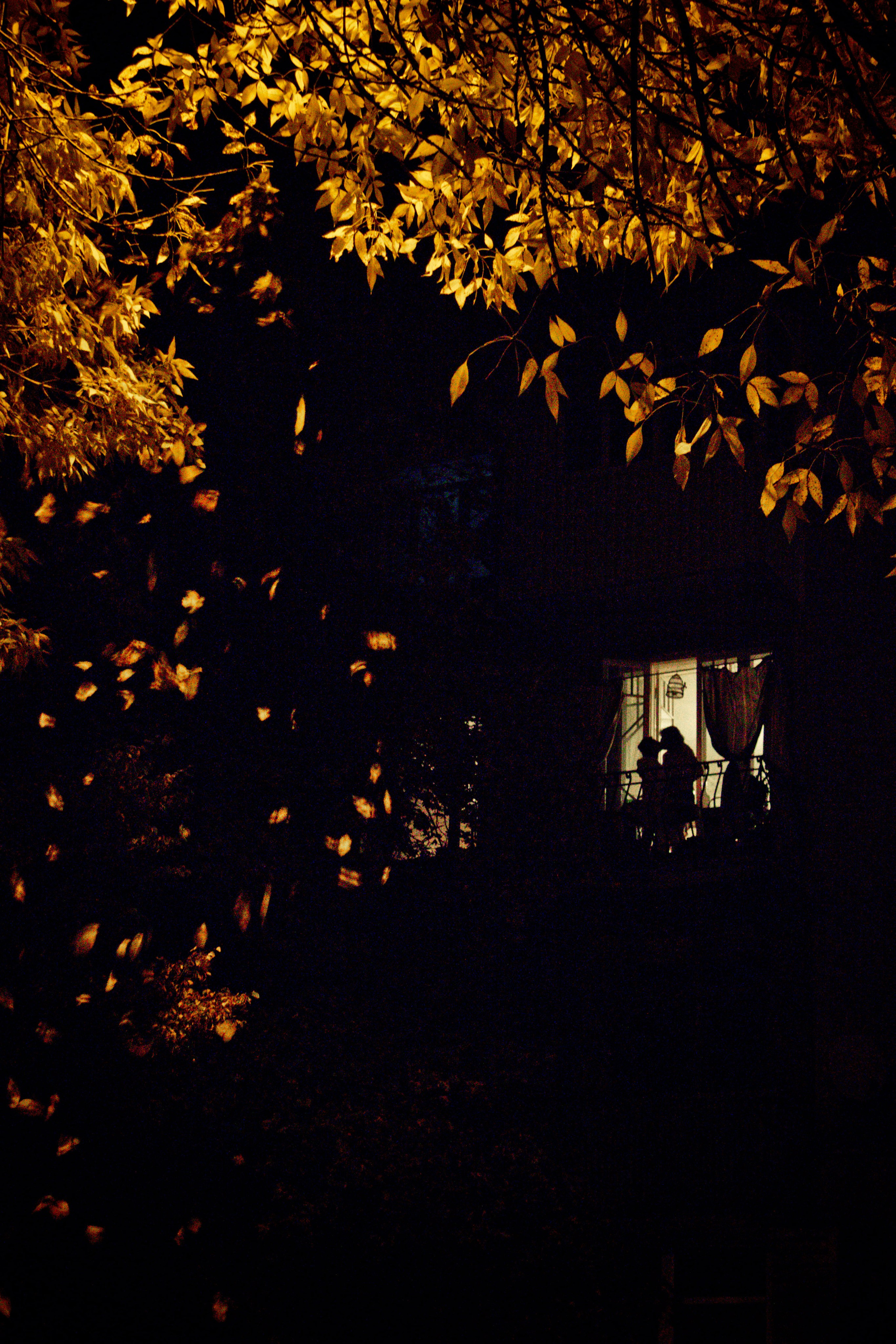 EXHIBITION. Lero Photographer and a set designer|individual custom portrait and advertising photography in Zutphen