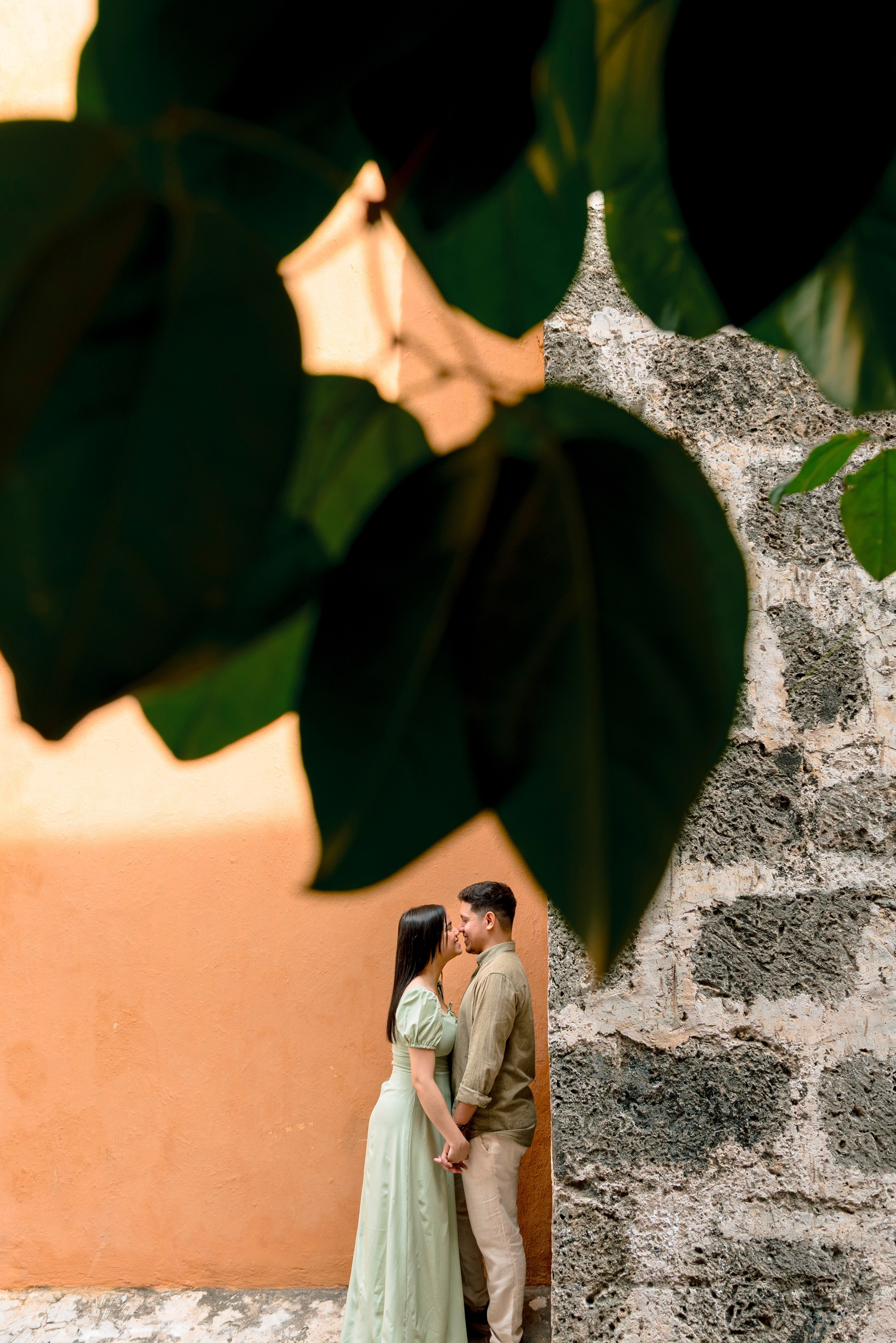 Pareja abrazada bajo dosel de árboles tropicales, sesión de preboda cinematográfica