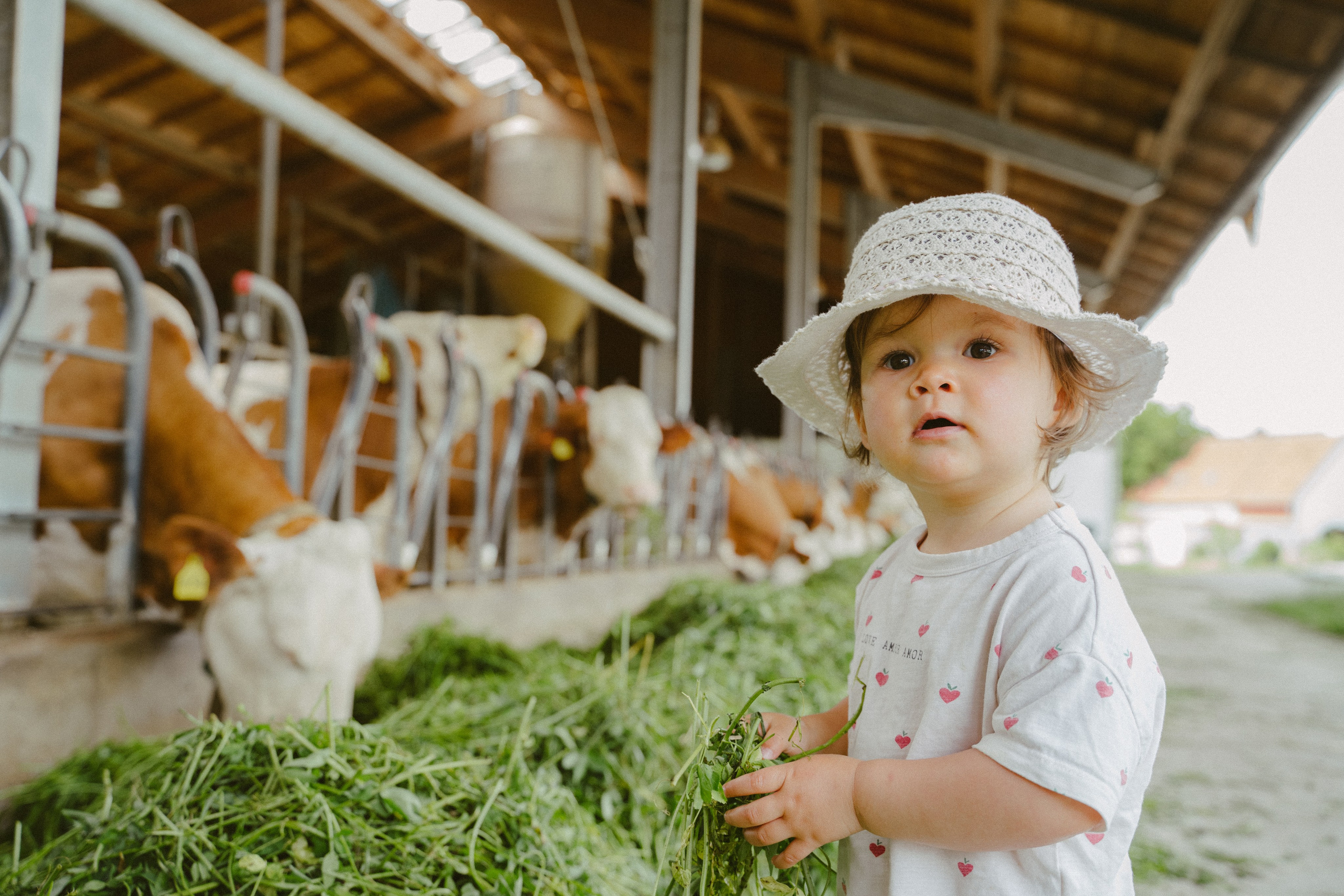 Kinderfotografie. Authentische und emotionale Familienfotos in Landshut und Umgebung