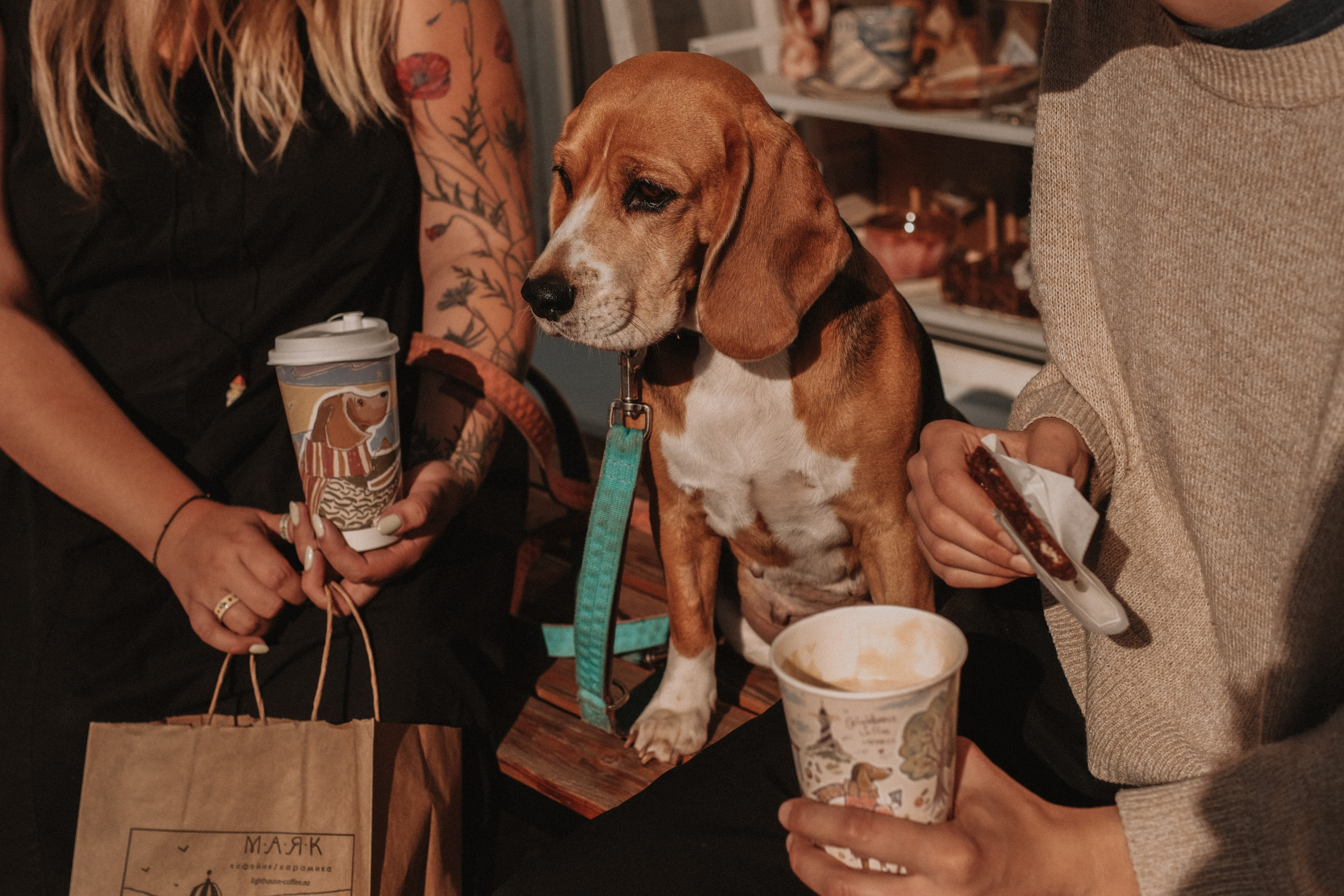 Lighthouse Coffeeshop. Lens Captures Life