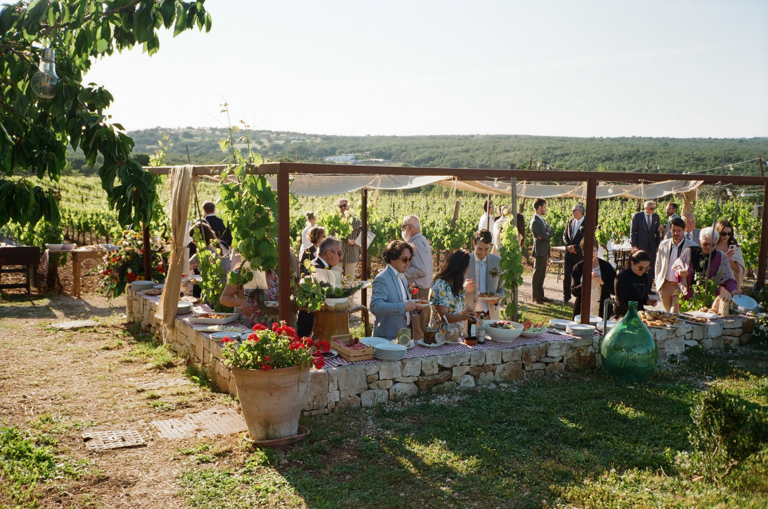 Stephanie & Christian film photos. Весільний фотограф Вікторія Саврук