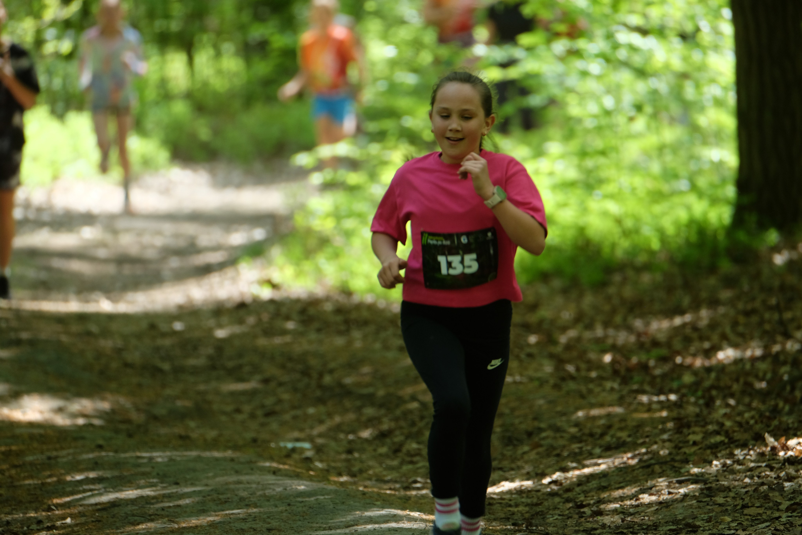 Aleksandryjska Piątka po lesie. Main