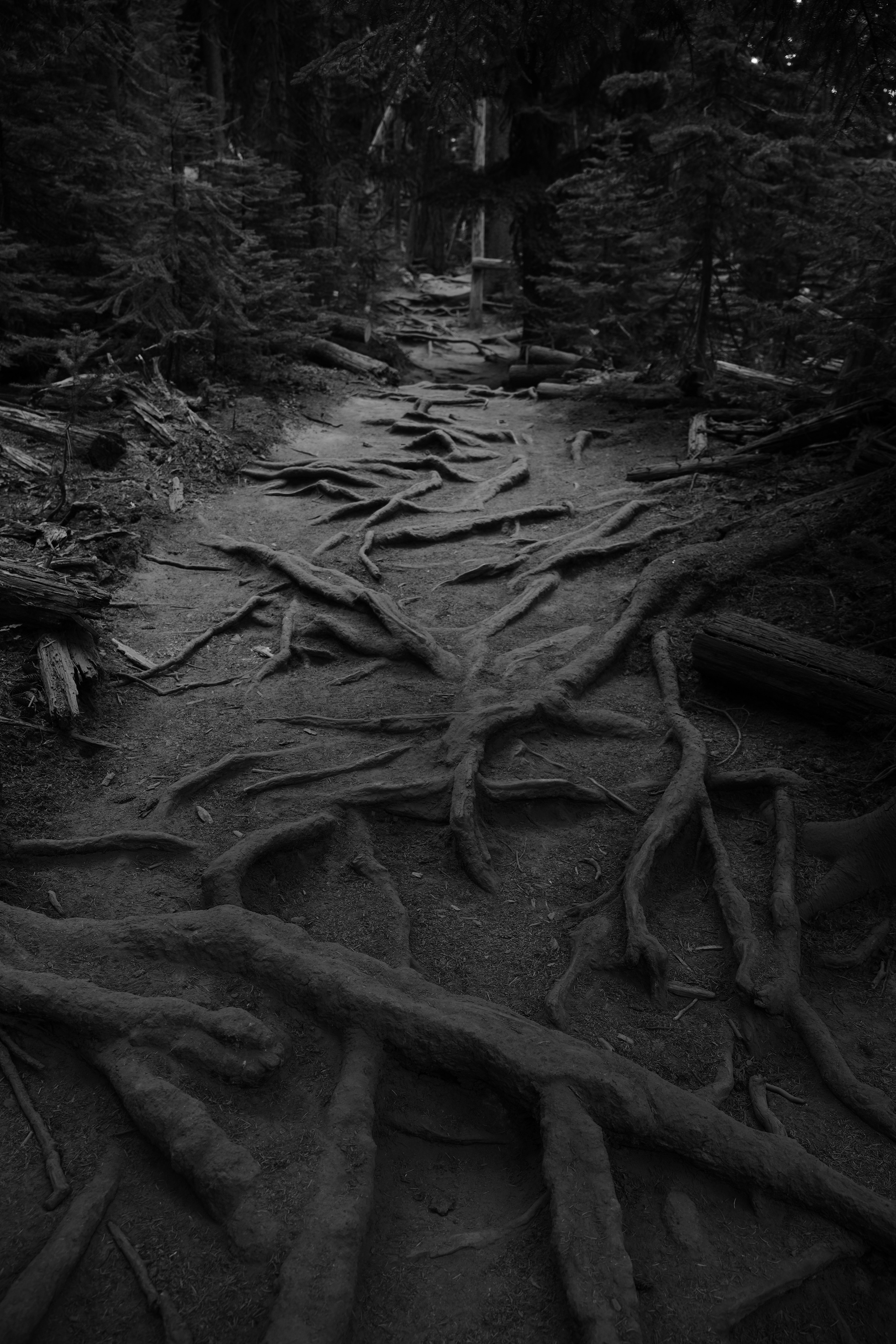 Photographer New York / Los Angeles