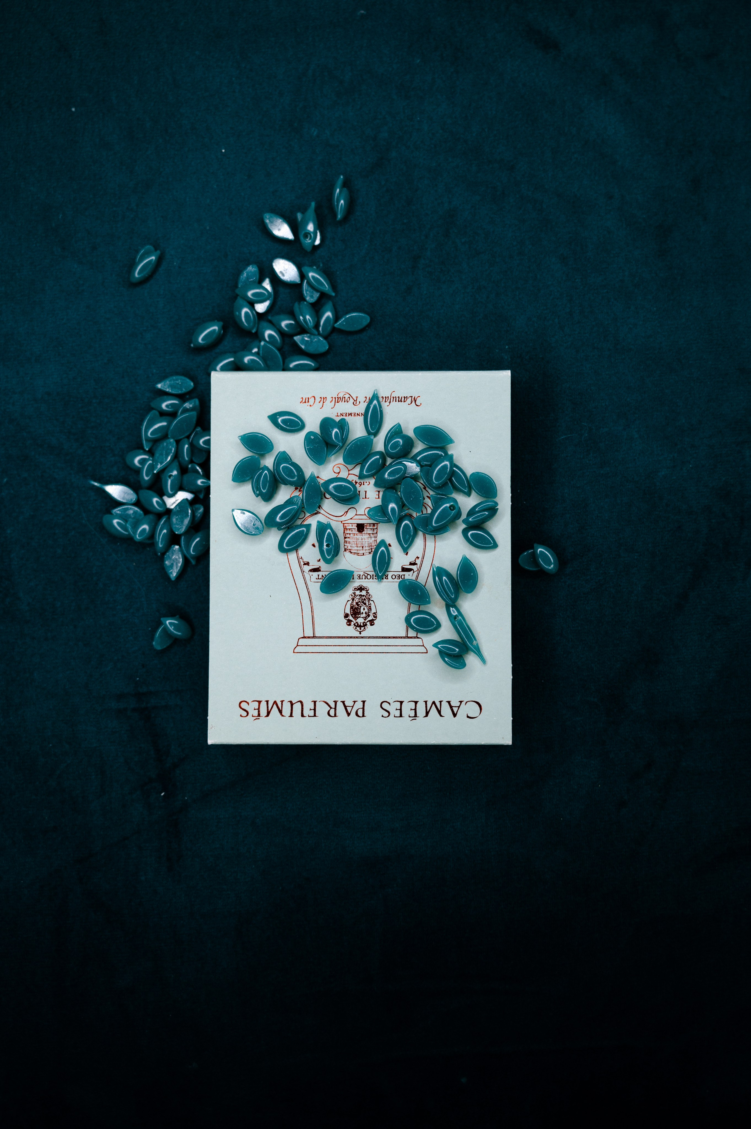 Astudio beauty studio in Prague. ANNA-MARIA PHOTO CONTENT CREATOR — фотограф, эстет, художник и визуальный эксперт в Instagram, работающий в Праге