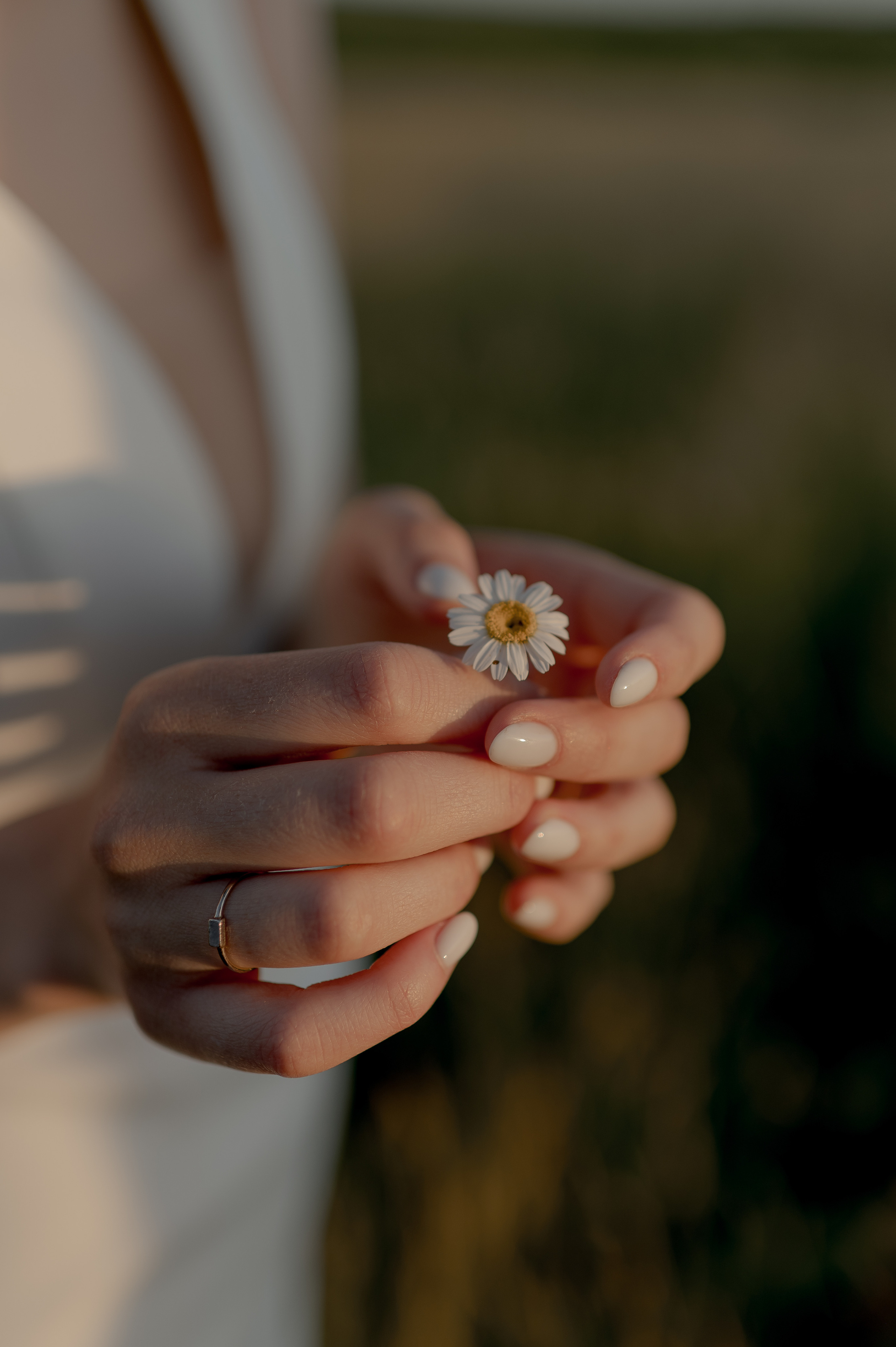 Barn wedding Romania, Province1965 Barn wedding, Rustic wedding venue Romania, Wedding photography Romania, Wedding videography Romania, Romantic barn wedding, Capturing wedding memories, Wedding storytelling, Professional wedding photographer, Cinematic wedding videos, Province1965 Barn photographer, Memorable wedding moments, Dream wedding photography, Stunning wedding videography.