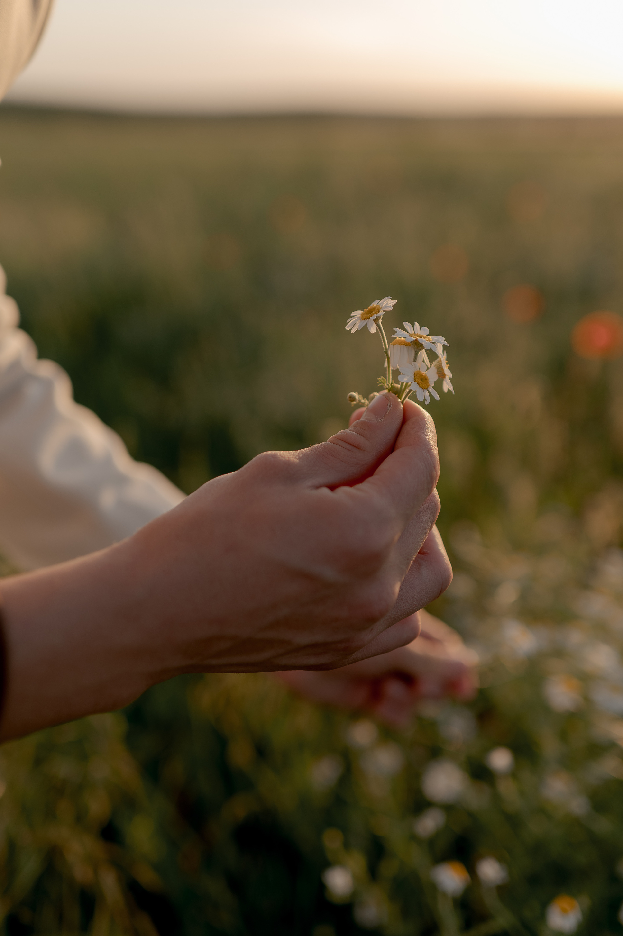 Barn Wedding in Romania at Province1965 Barn. Wedding photographer and videographer based in Timisoara, Romania