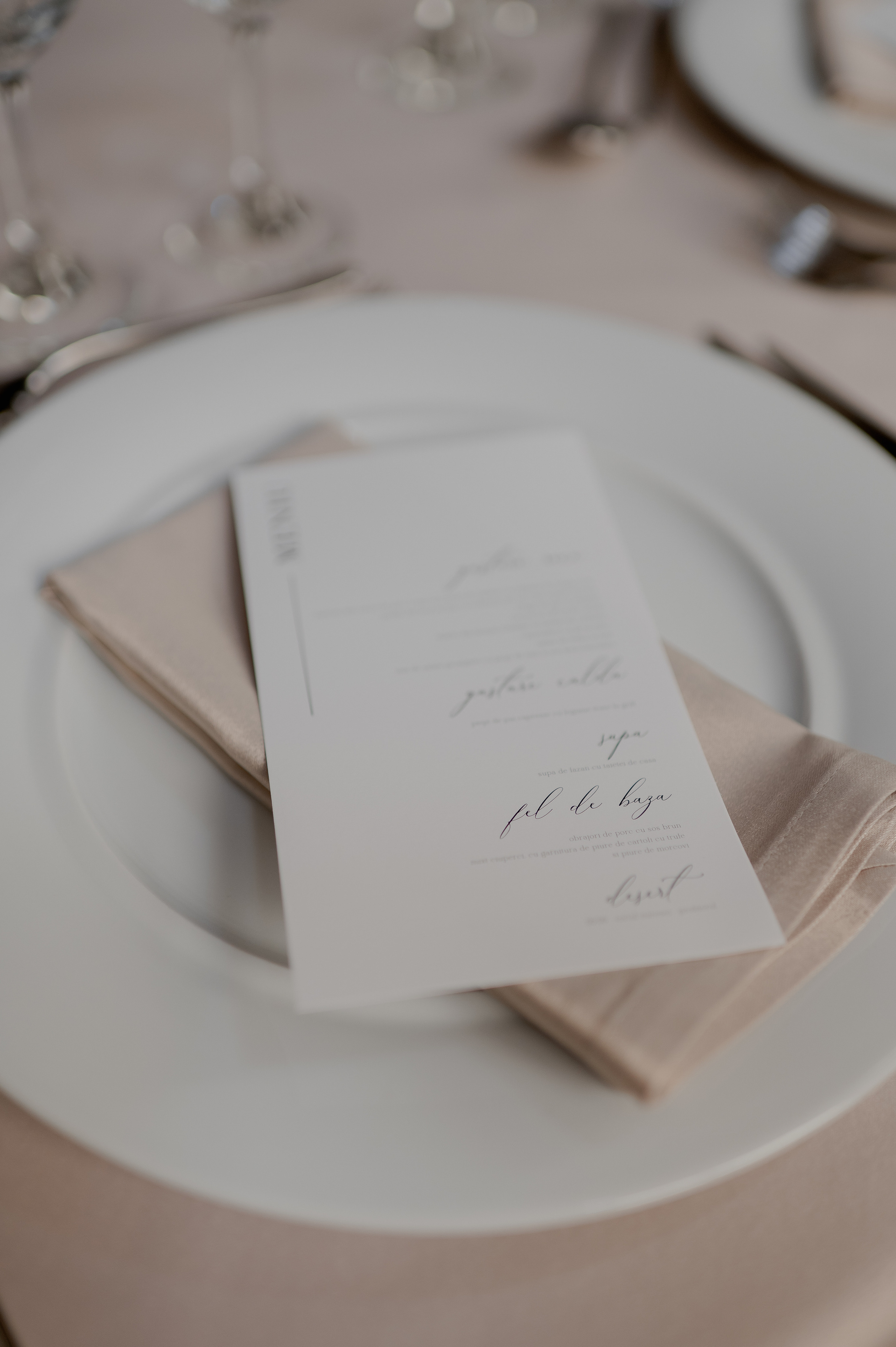 Celine and Alex | Classy wedding with a twist. Wedding photographer and videographer based in Timisoara, Romania