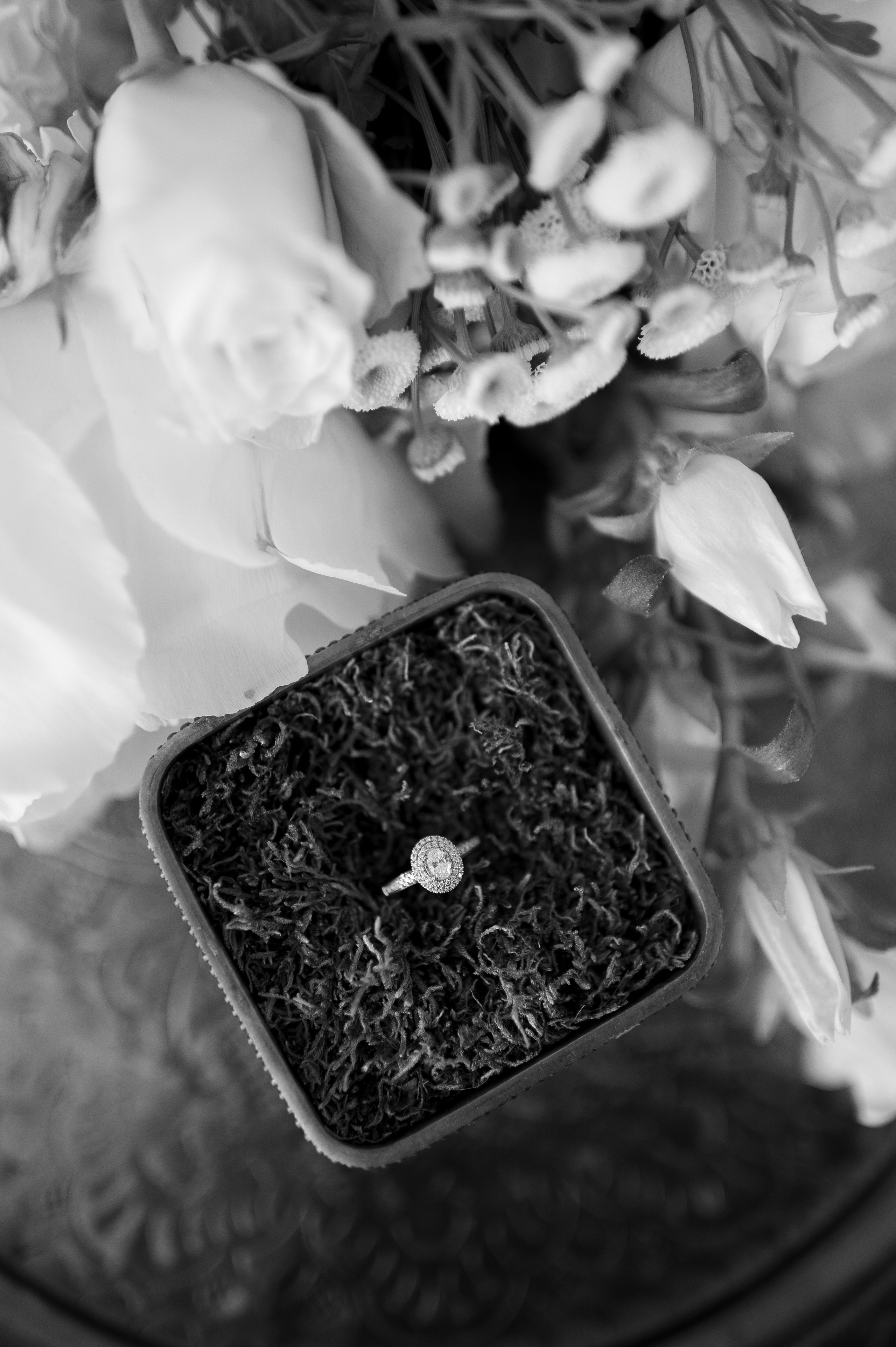 Celine and Alex | Classy wedding with a twist. Wedding photographer and videographer based in Timisoara, Romania