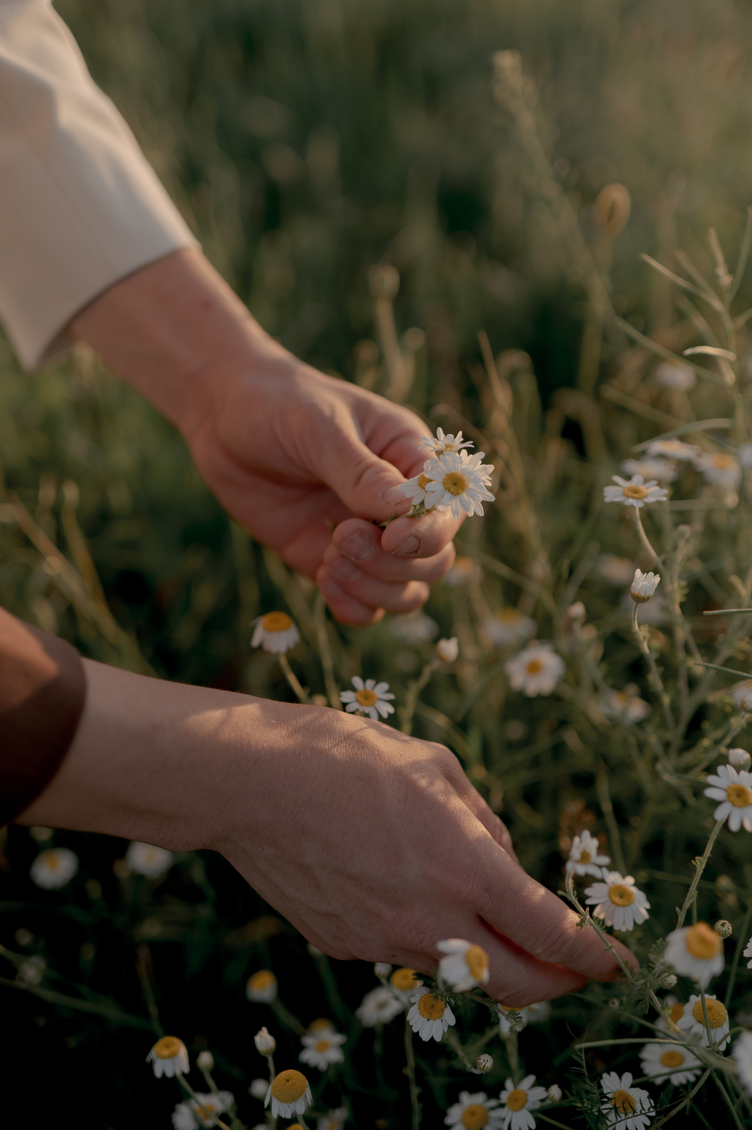 Barn wedding Romania, Province1965 Barn wedding, Rustic wedding venue Romania, Wedding photography Romania, Wedding videography Romania, Romantic barn wedding, Capturing wedding memories, Wedding storytelling, Professional wedding photographer, Cinematic wedding videos, Province1965 Barn photographer, Memorable wedding moments, Dream wedding photography, Stunning wedding videography.
