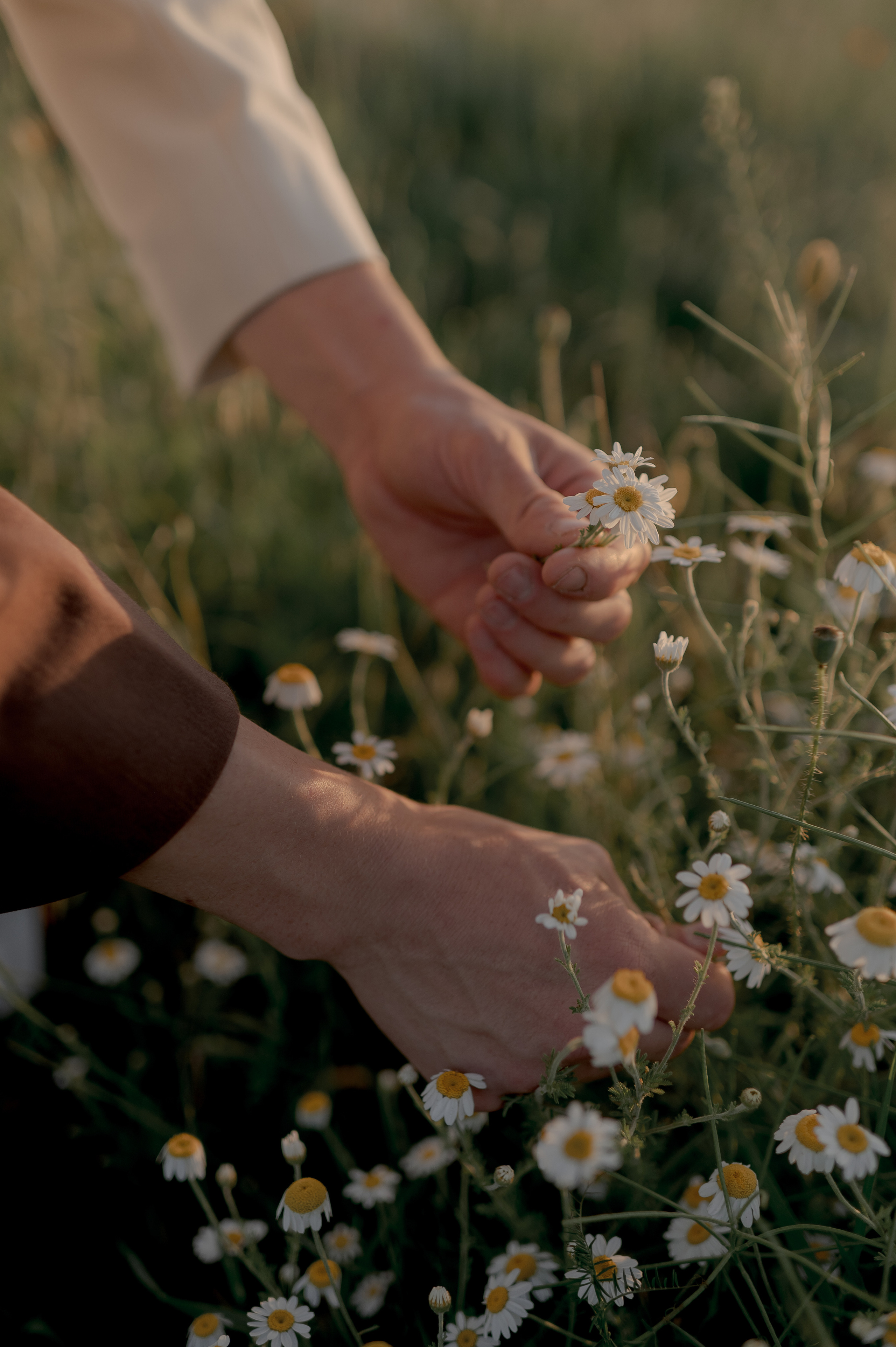 Barn Wedding in Romania at Province1965 Barn. Wedding photographer and videographer based in Timisoara, Romania