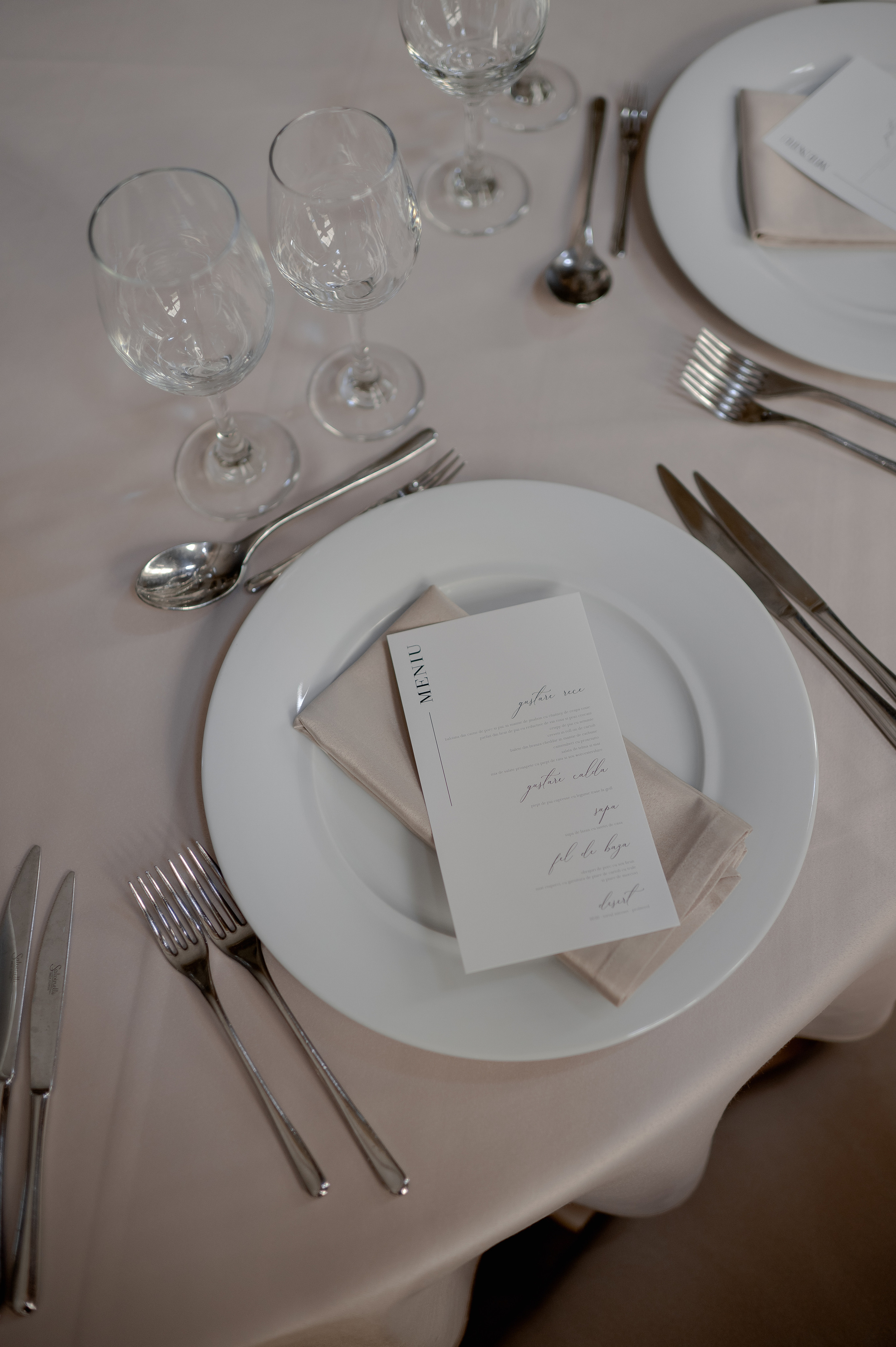 Celine and Alex | Classy wedding with a twist. Wedding photographer and videographer based in Timisoara, Romania