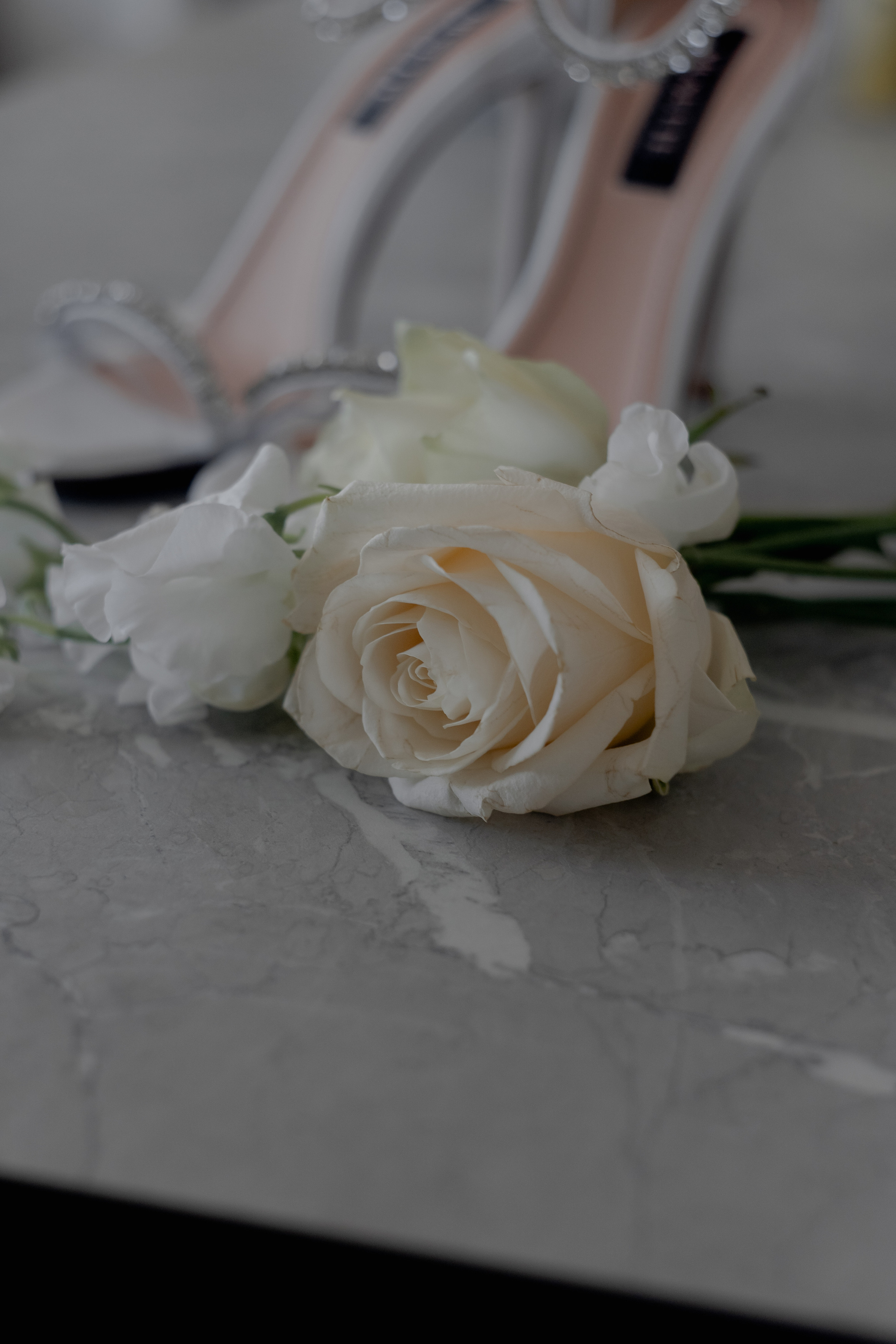 Celine and Alex | Classy wedding with a twist. Wedding photographer and videographer based in Timisoara, Romania