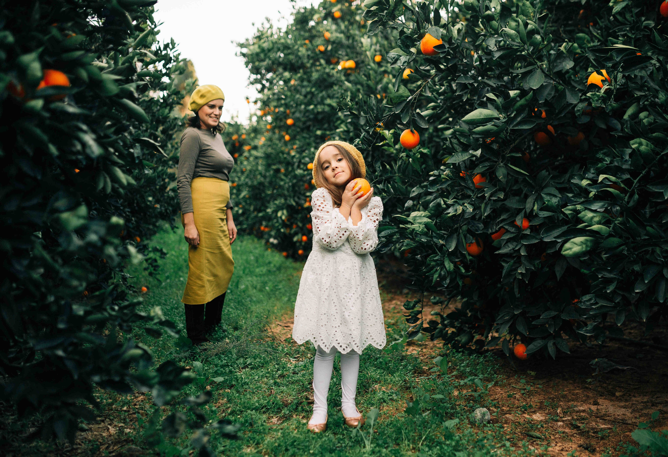 MANDARNINE GARDEN. Https://shi-photo.com/