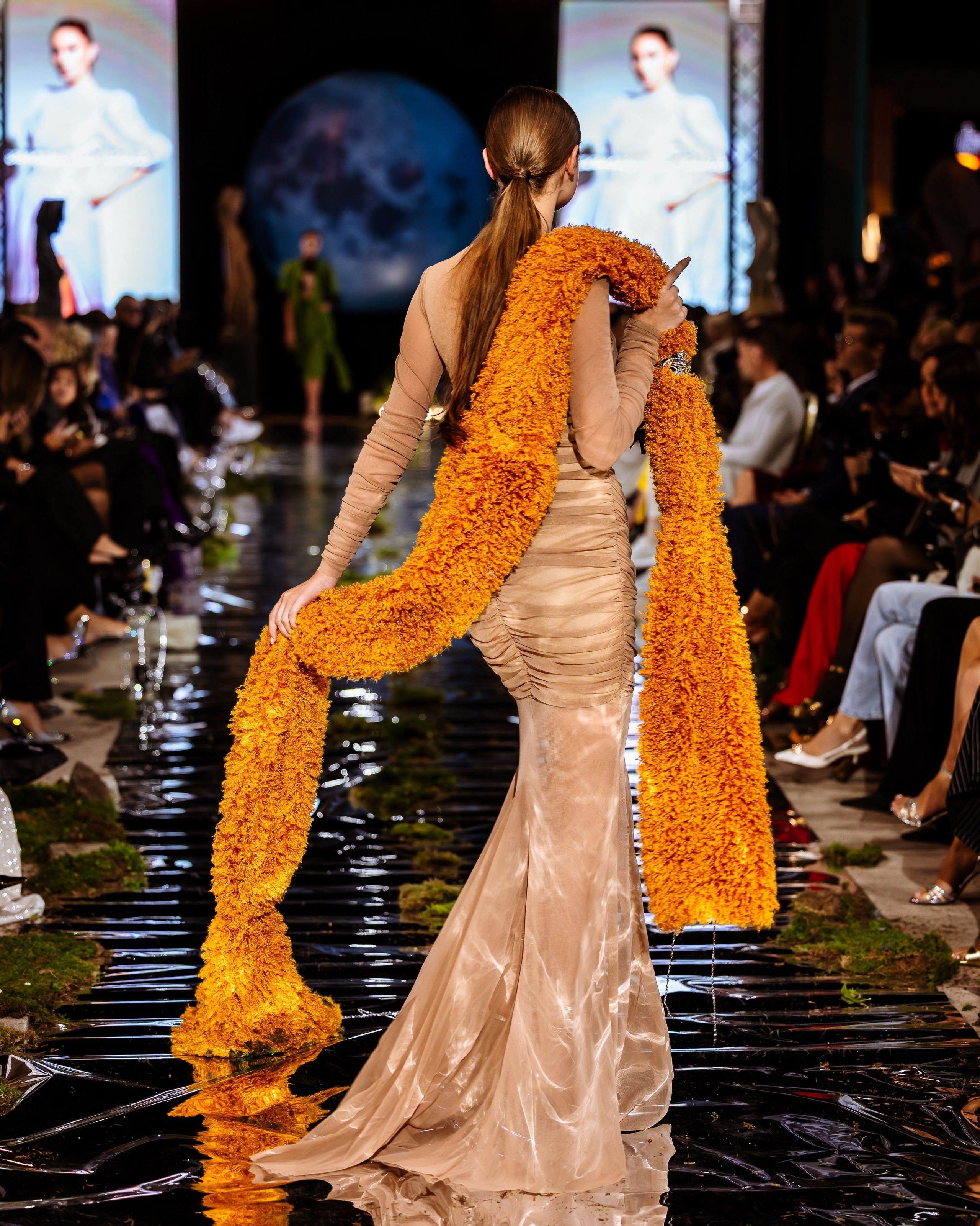 Prive. Marius Ciocan