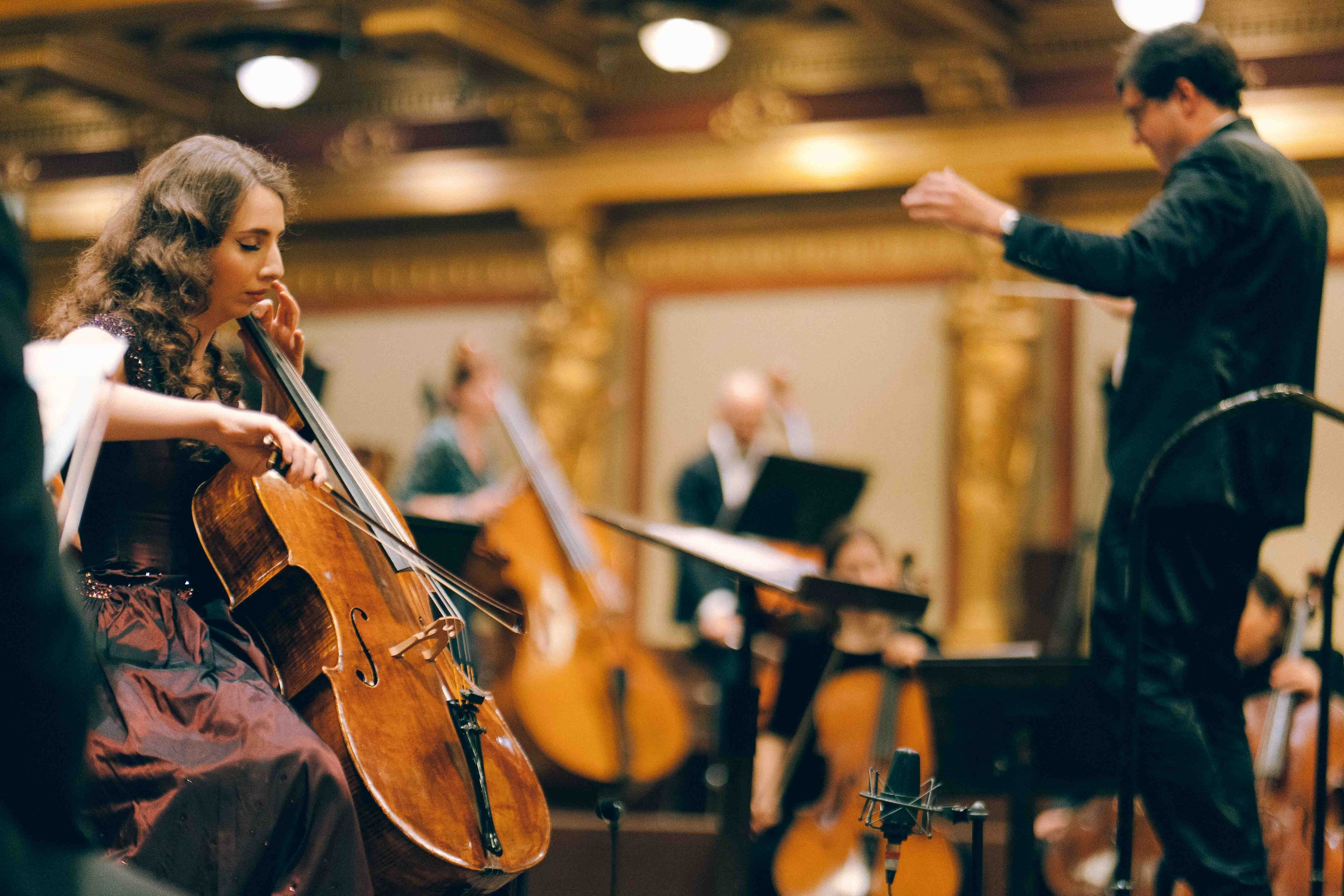 MUSIKVEREIN (VIENNA). Wedding&Event photographer Ismail Rzayev in Baku