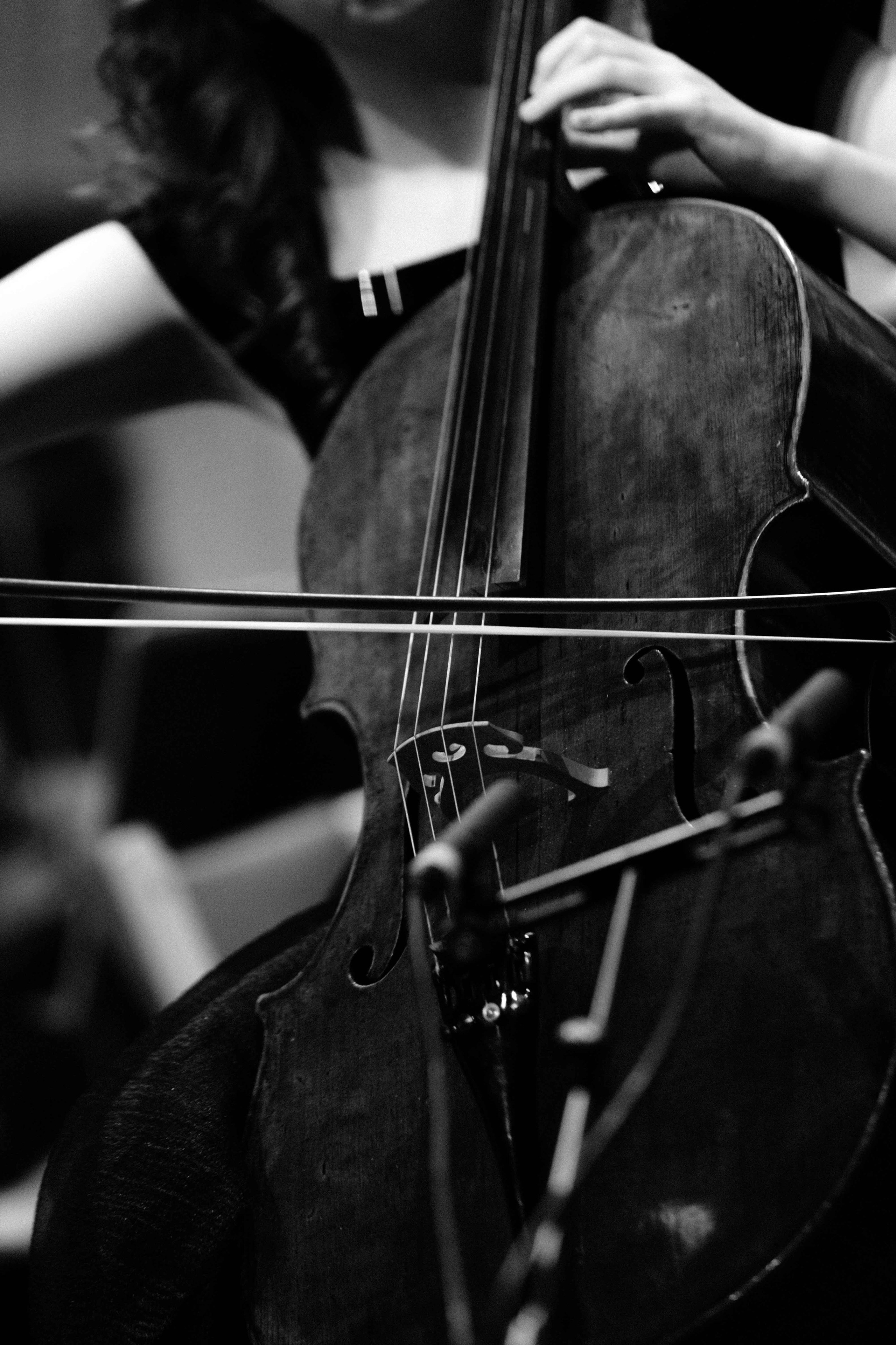 BUDAPEST MUSIC CENTER. Wedding&Event photographer Ismail Rzayev in Baku
