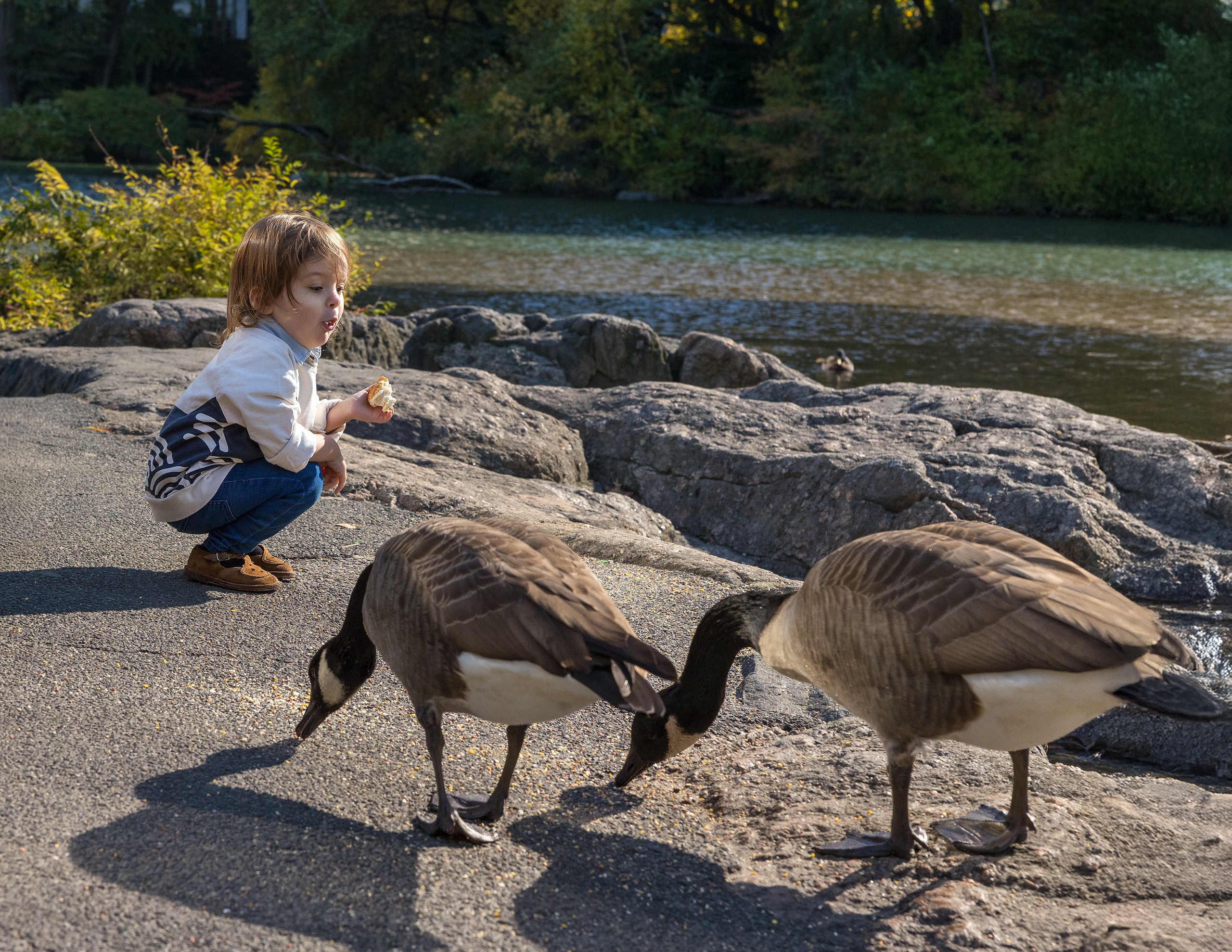 Little Moments, Big Love. Family, lifestyle, and commercial photography in New York and New Jersey