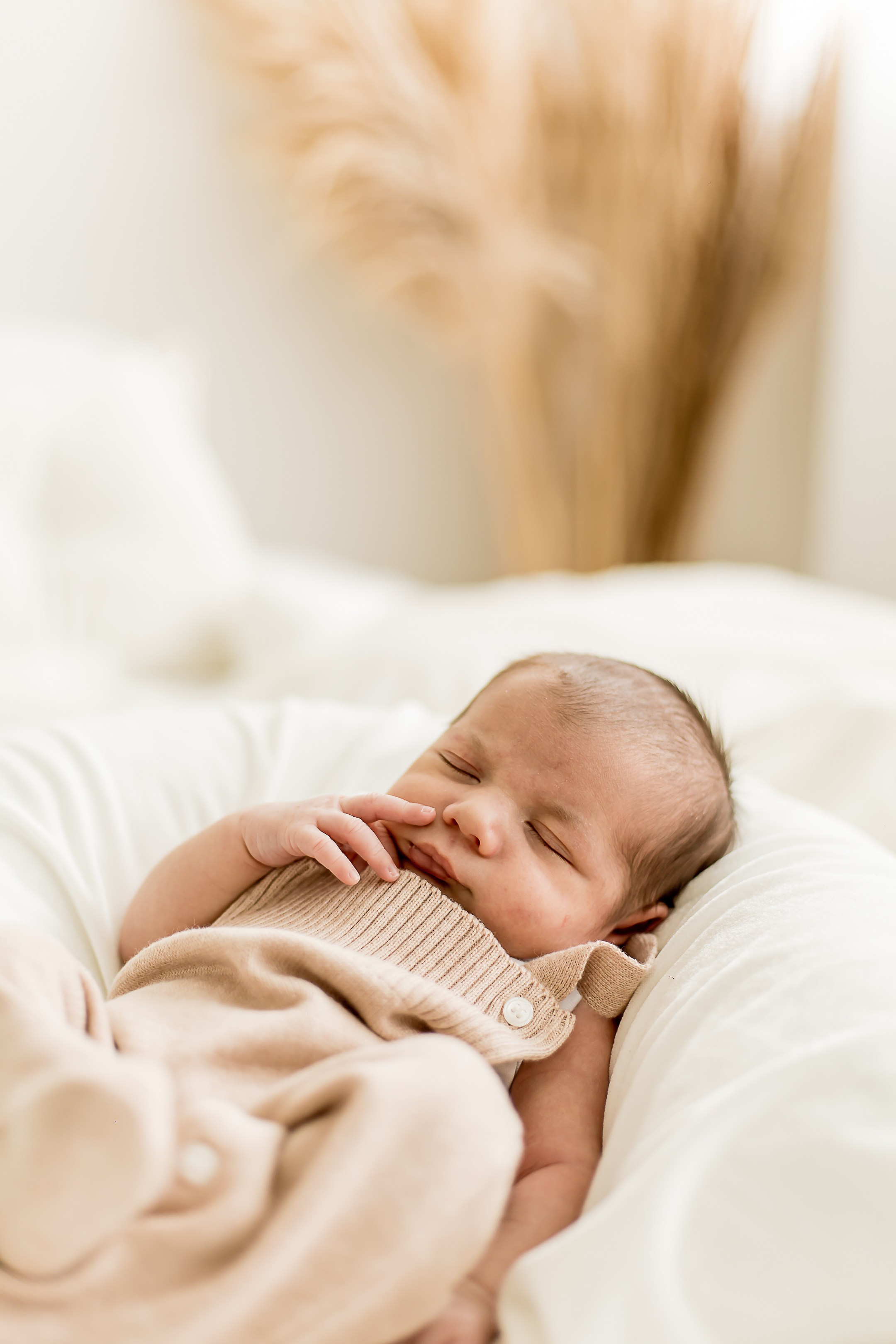 Babys. Fotógrafa de familia no Rio de janeiro