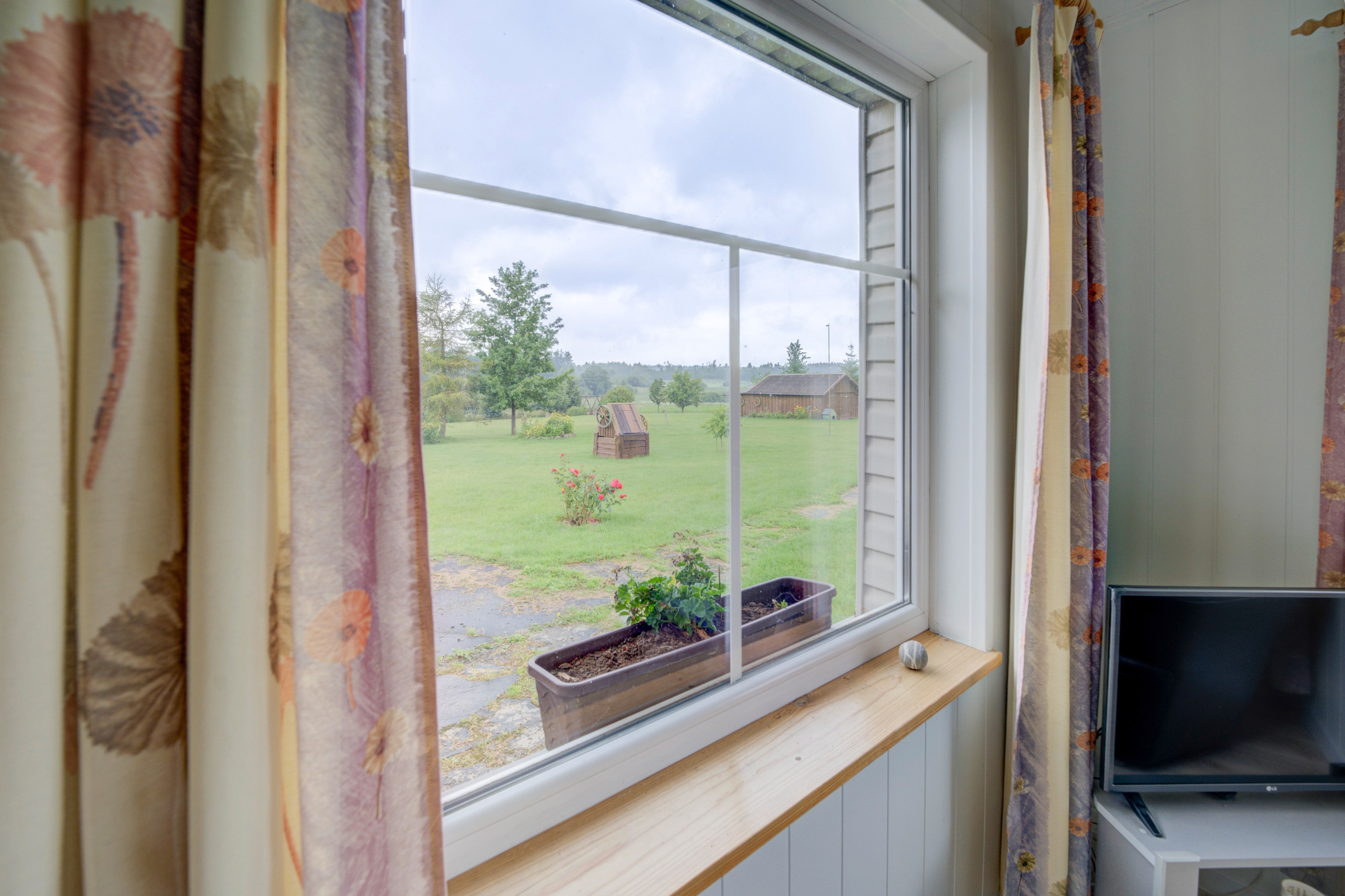 Varėnos raj. Elina Sapiega fotografė Vilniuje