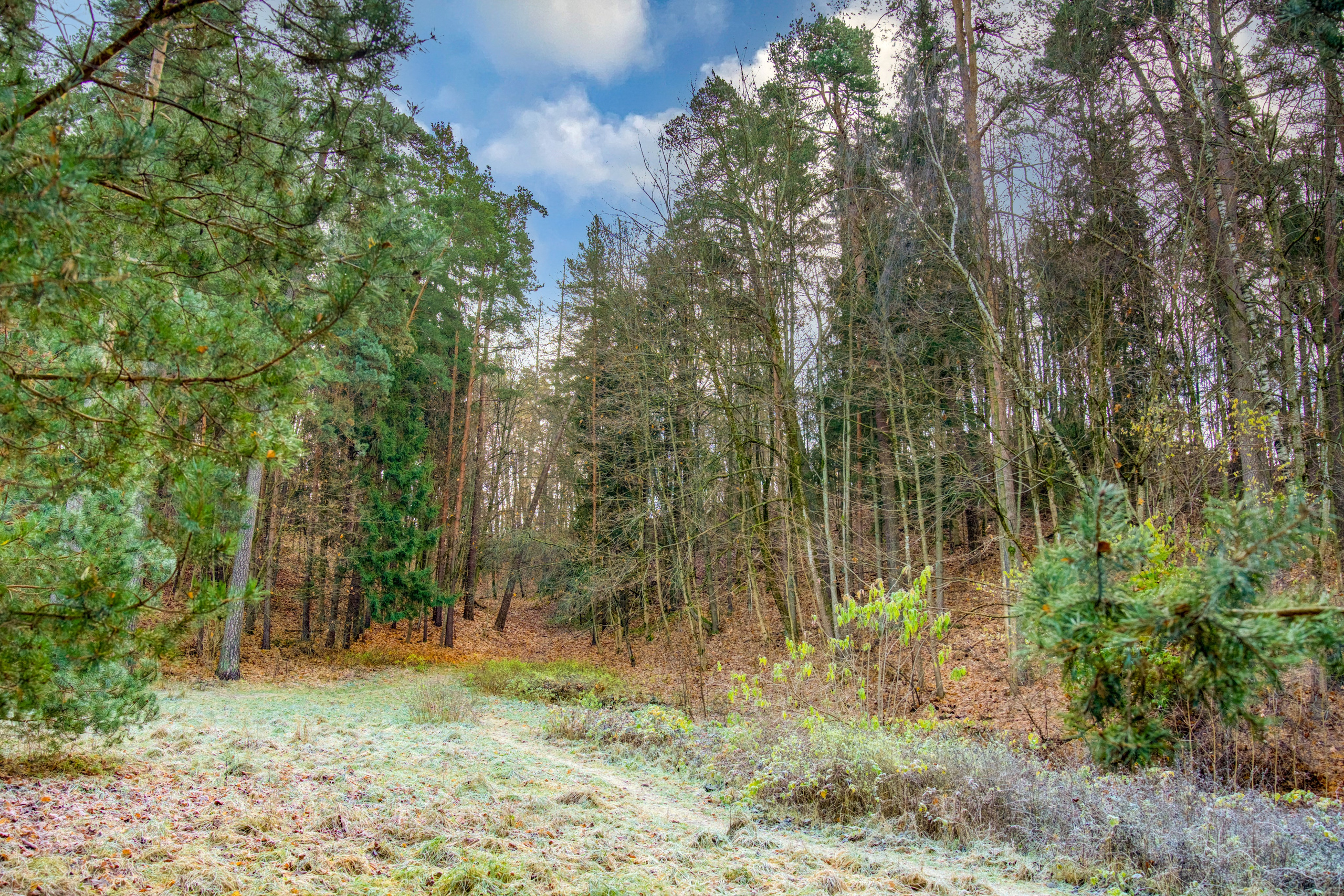 Dronas Antakalnis, Kanklių 10. Elina Sapiega fotografė Vilniuje