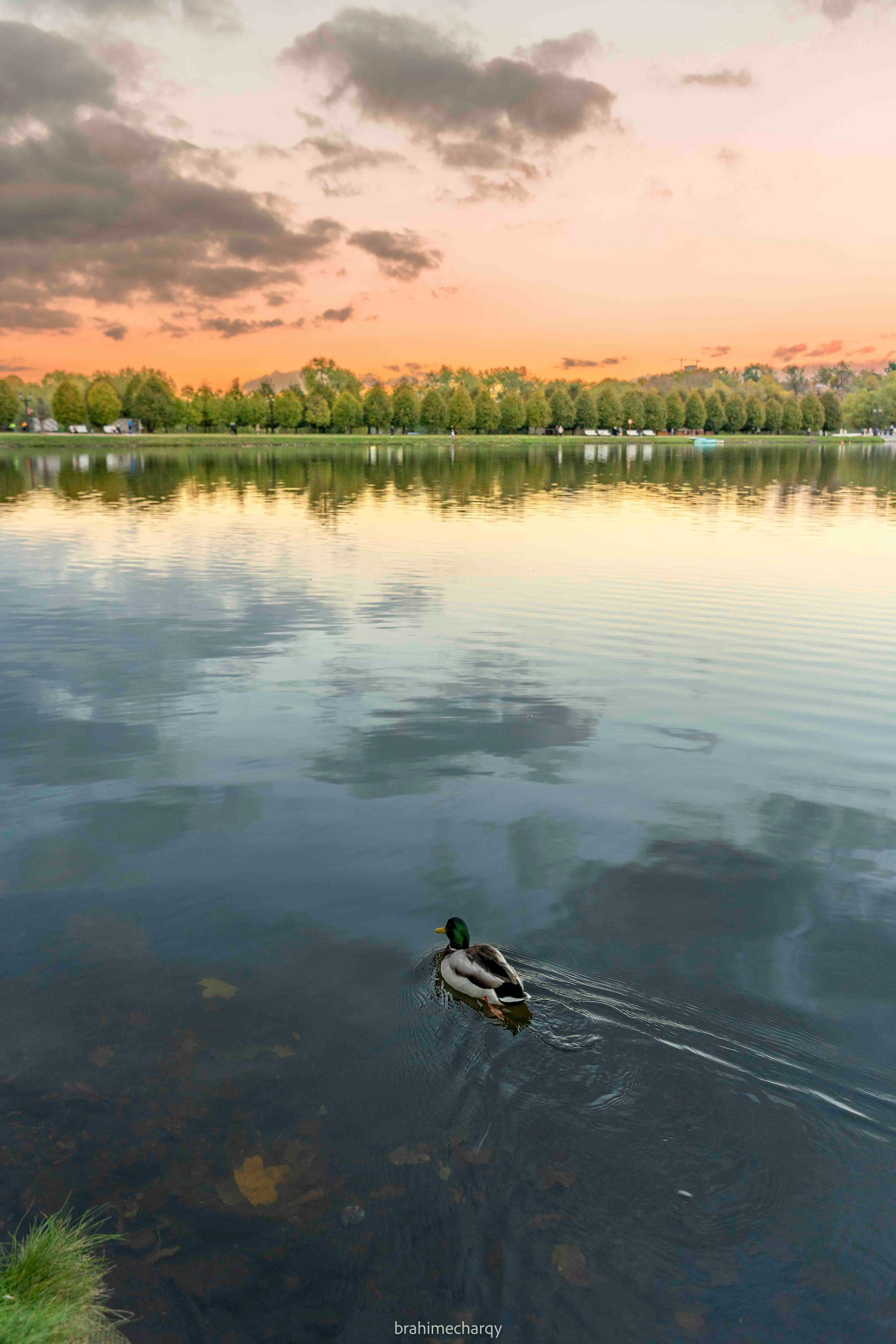 Фото. Брахим — фотограф
