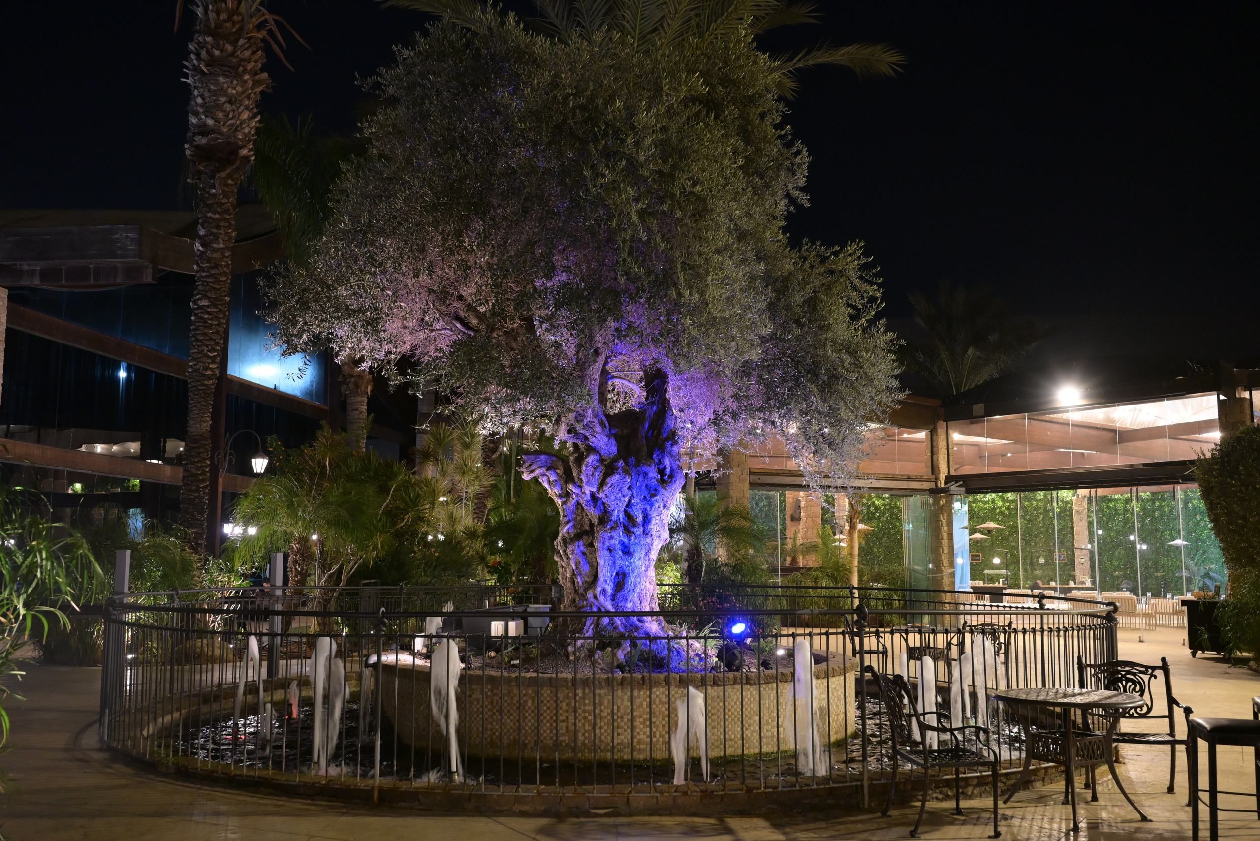 טרויה. Wedding and events photographers Studio Shalom