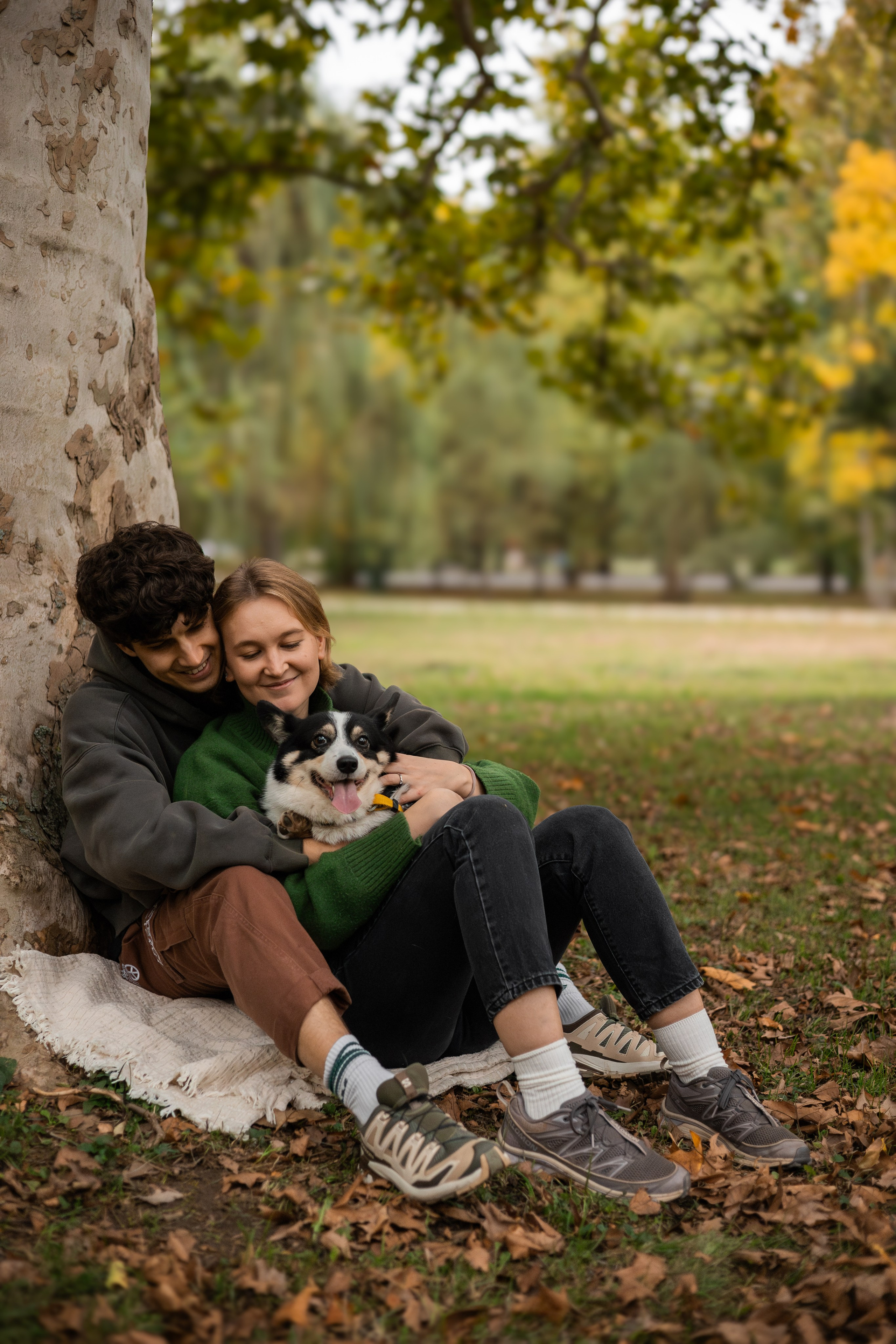 Даня, Аня и Плюша. Фотограф-анималист | Белград